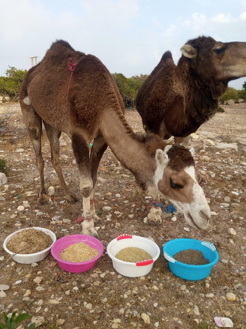 Gites de charme a Milly-La-Foret