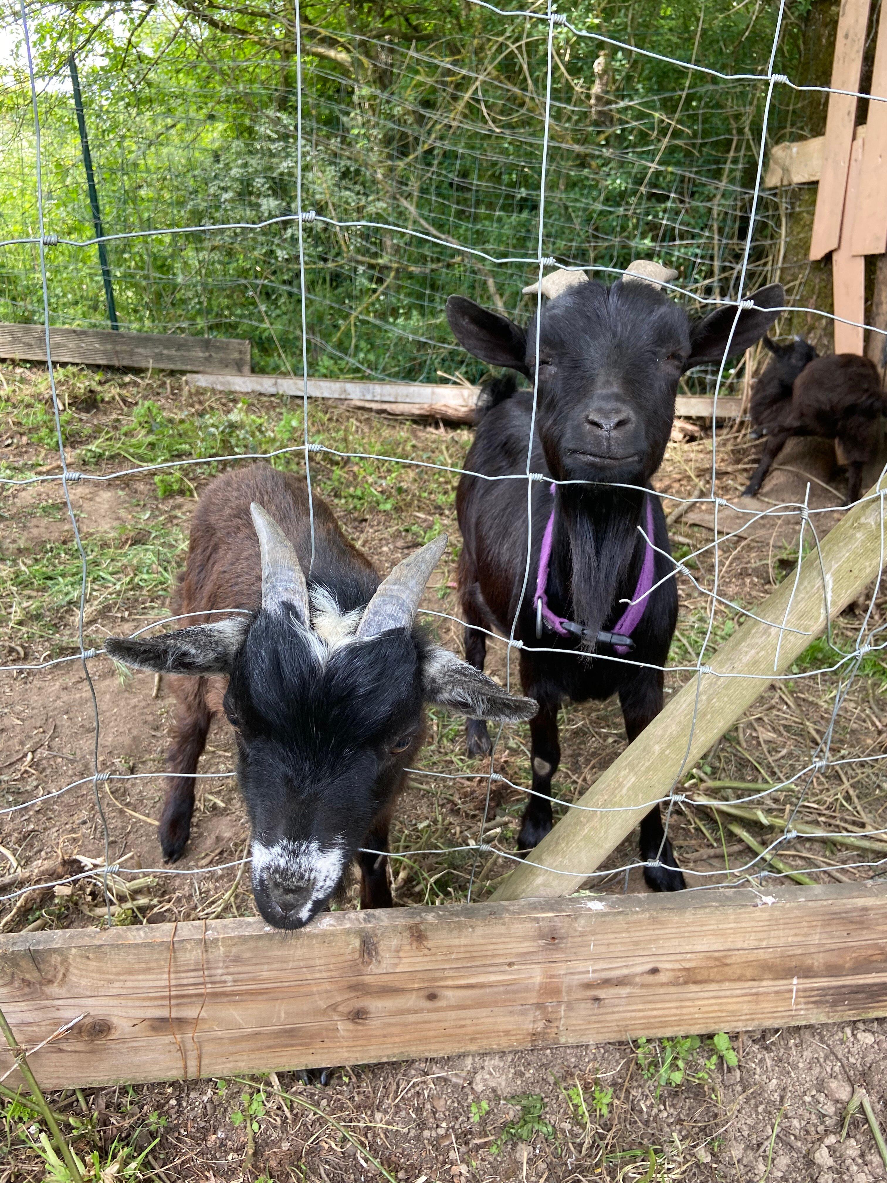 Logis des Jardins de la Nonnerie