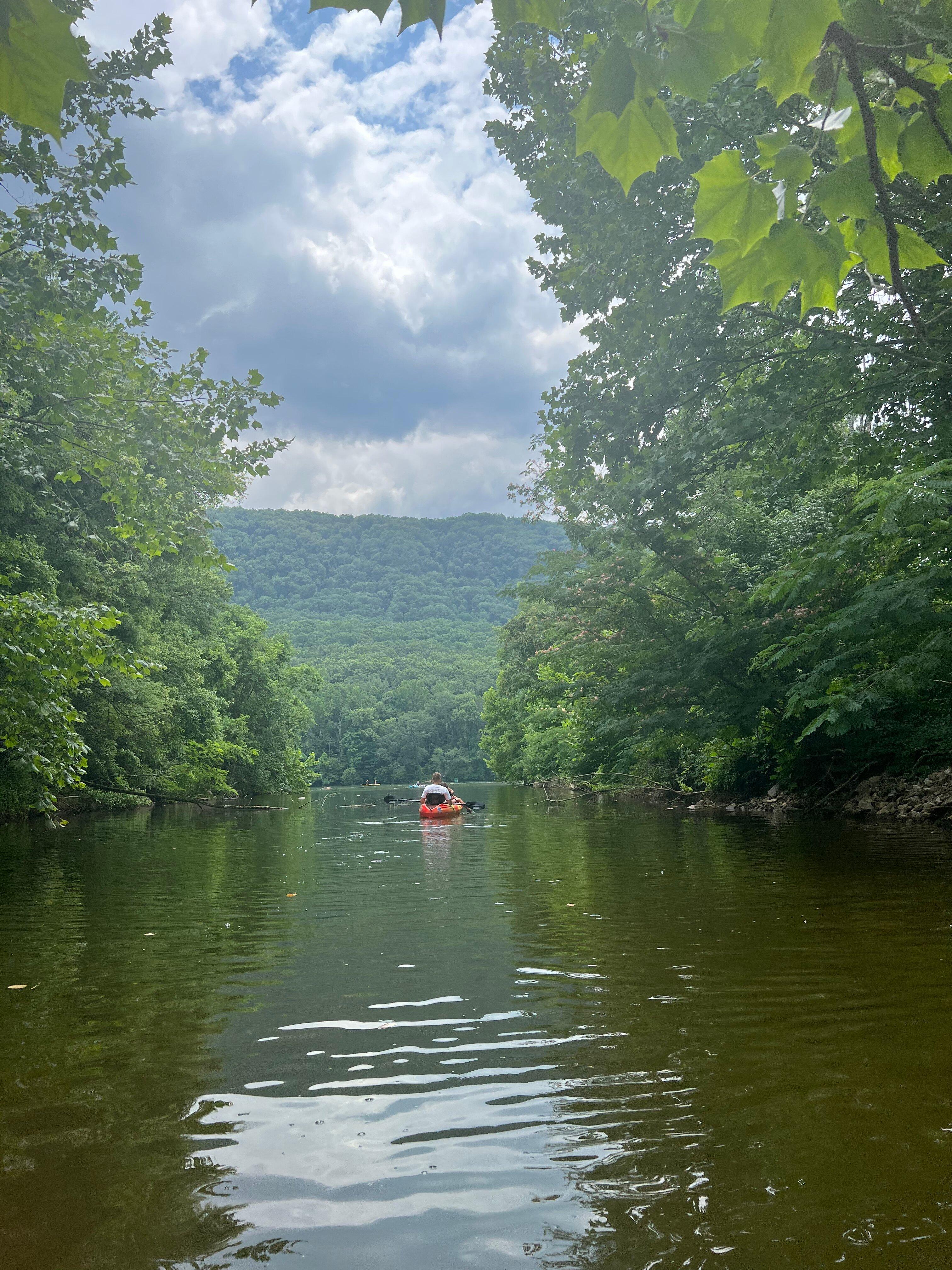 Photo by Danielle-Chad