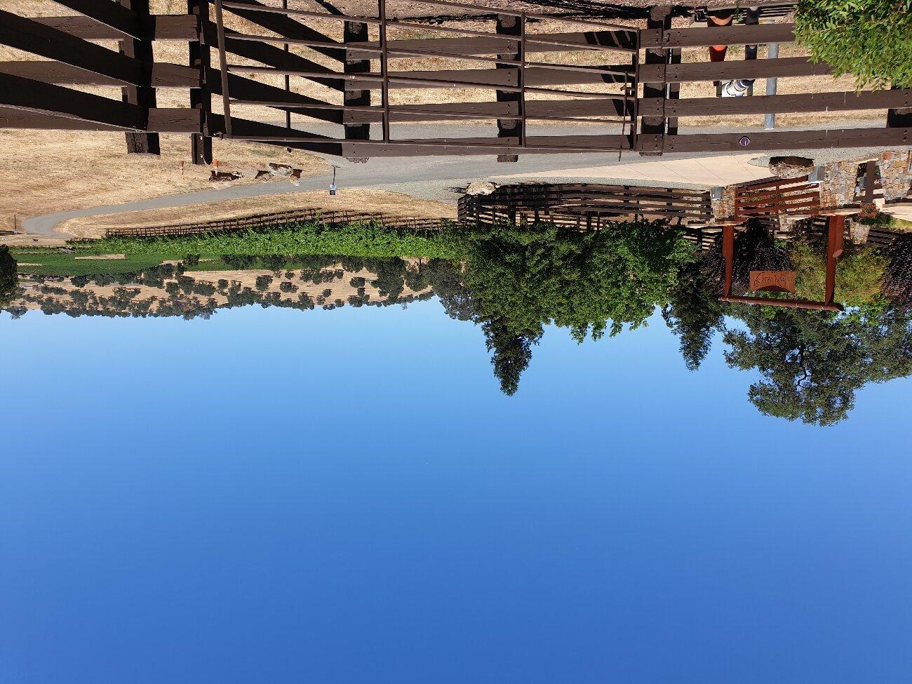 Photo by sylviecA6188NI