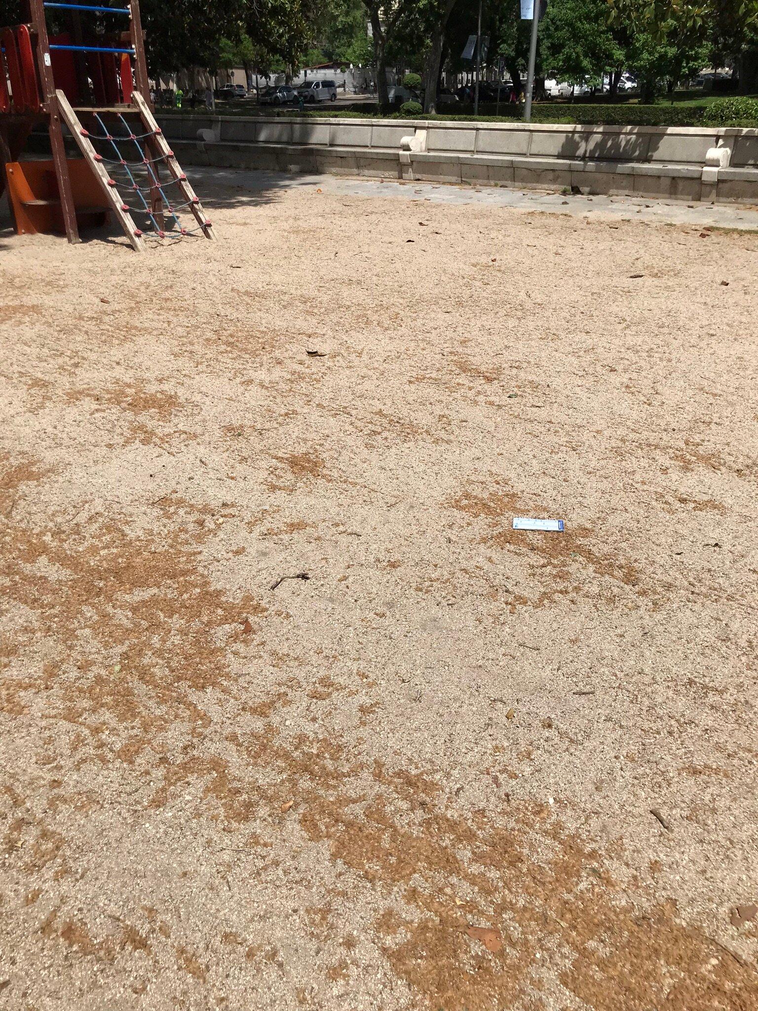 Parque Infantil Paseo Del Prado