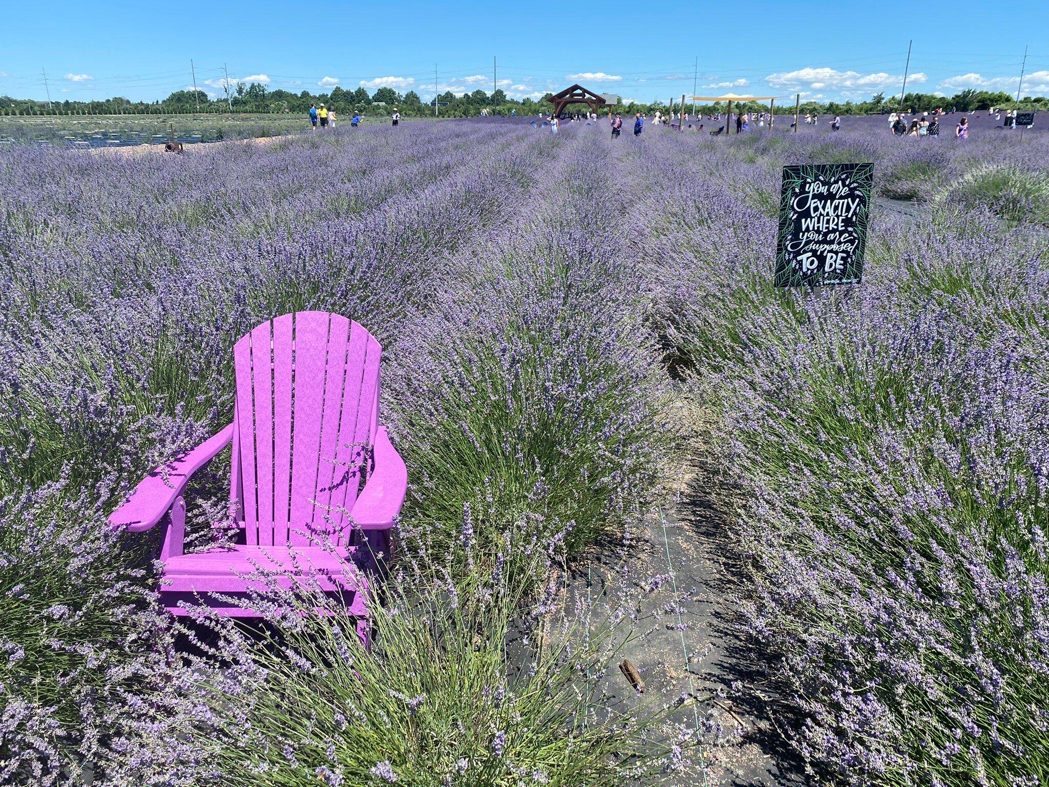 Photo by JamesFortySeven