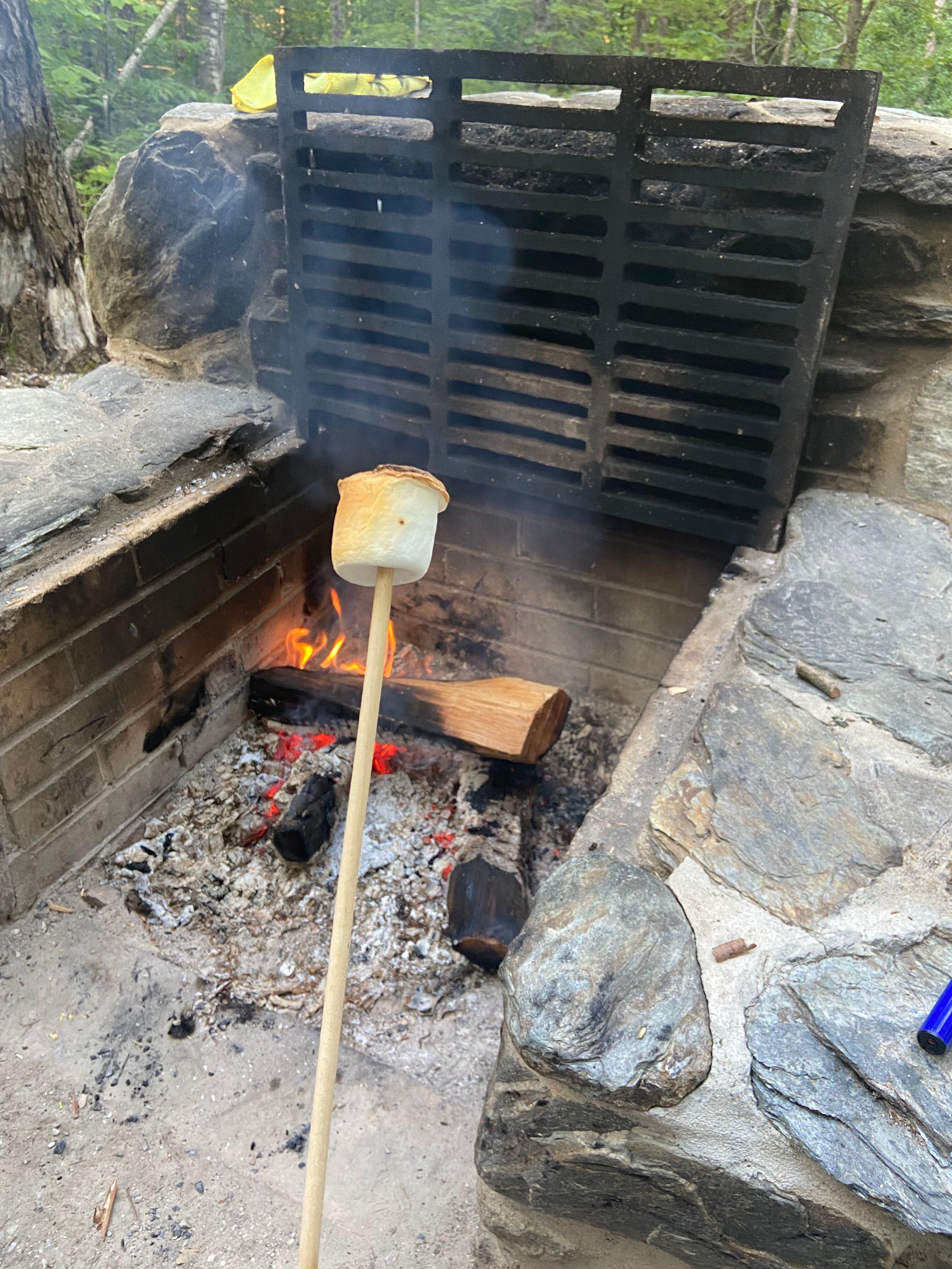 Photo by MalcolmC933