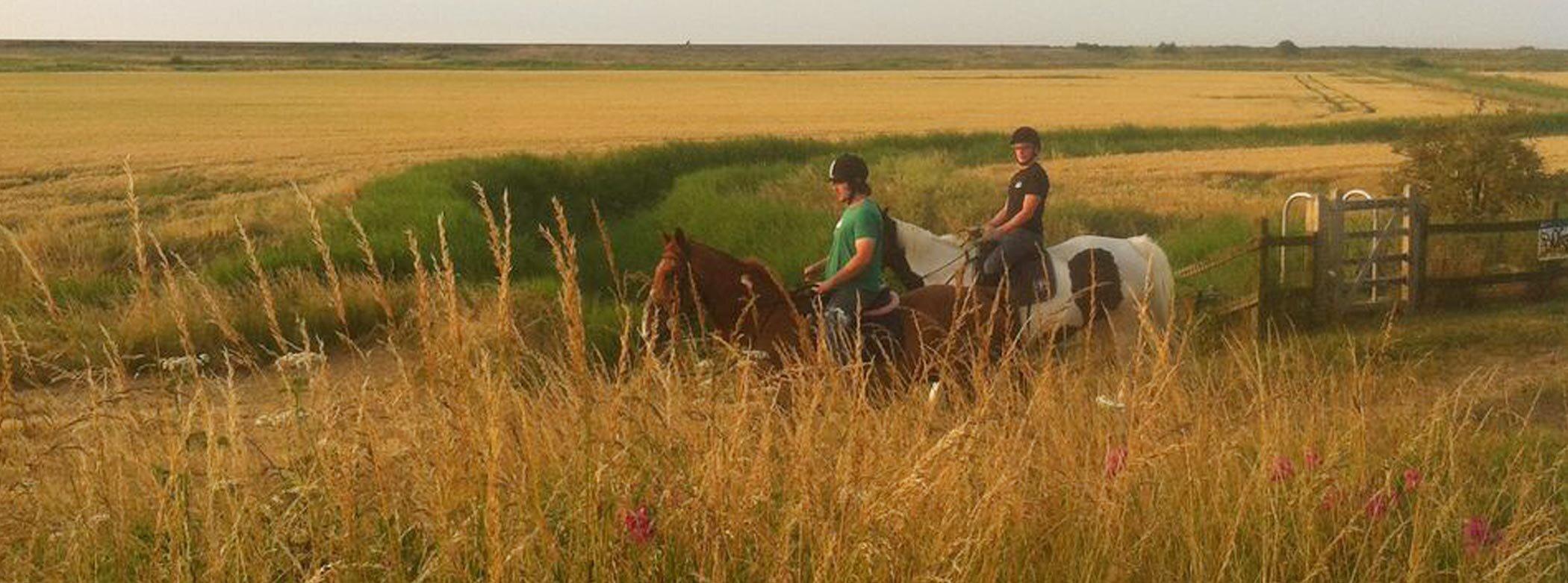 Plum Pudding Riding School