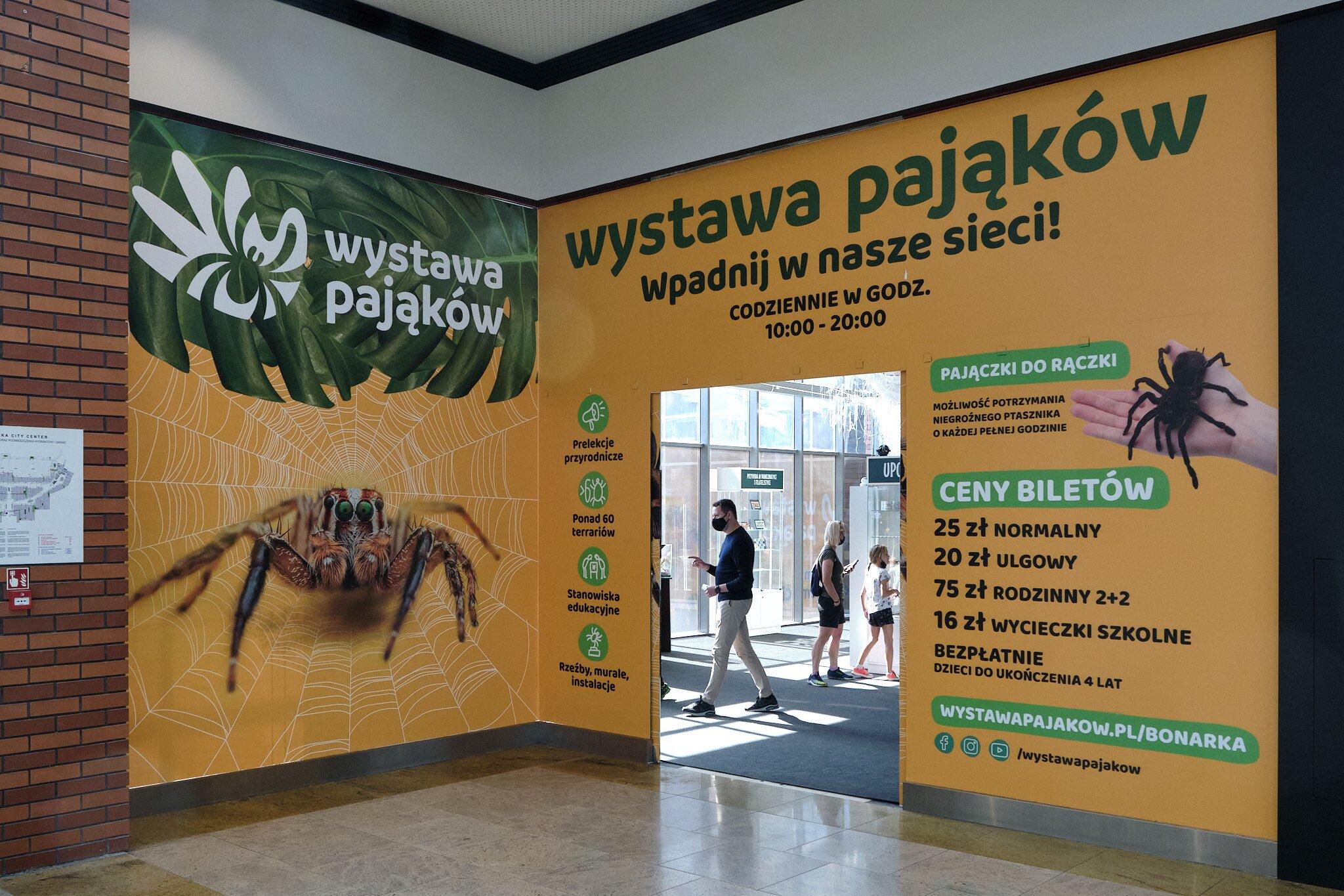 Spiders Exhibition Bonarka Krakow