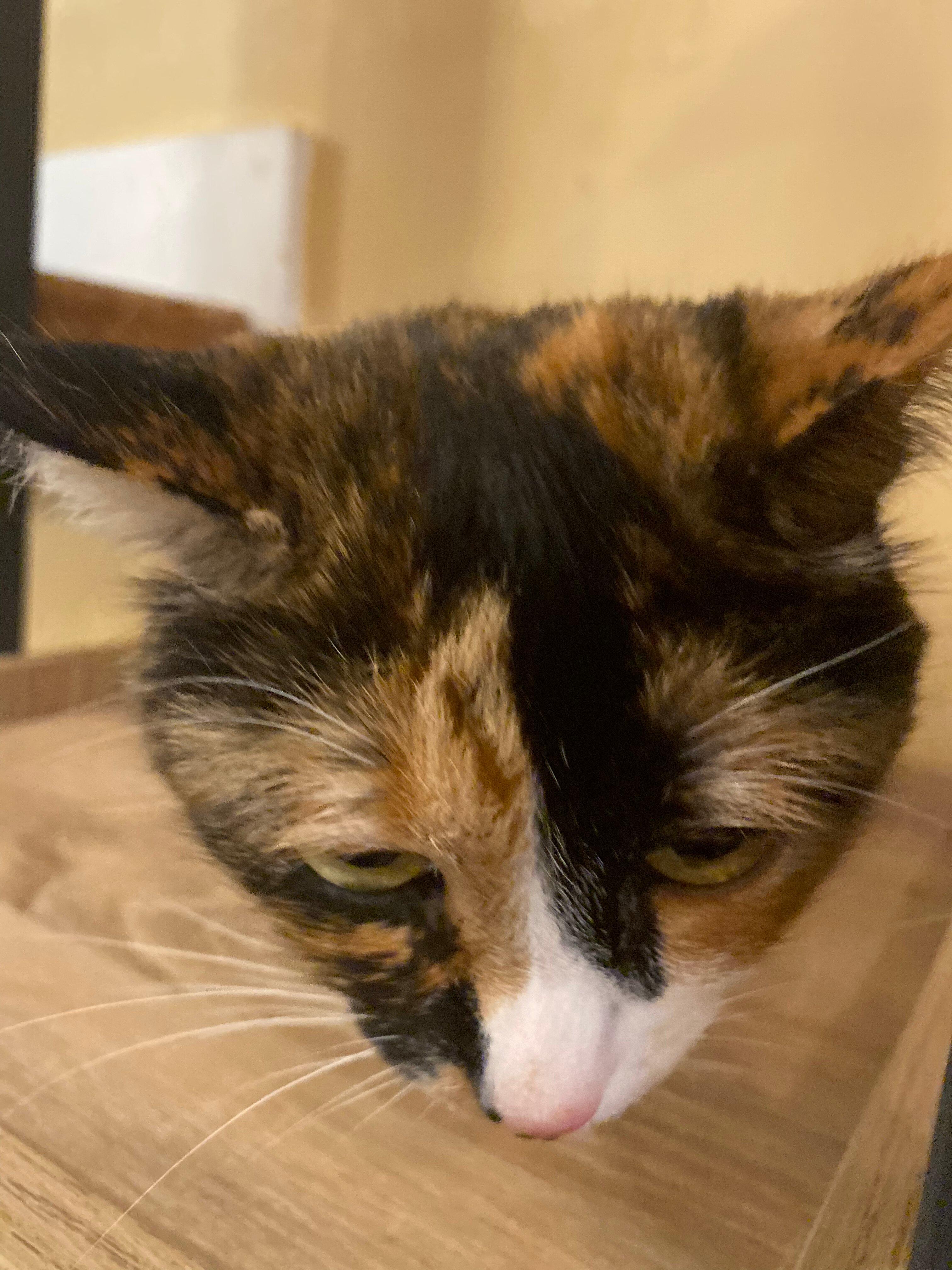 Photo by D1771WIjamesm