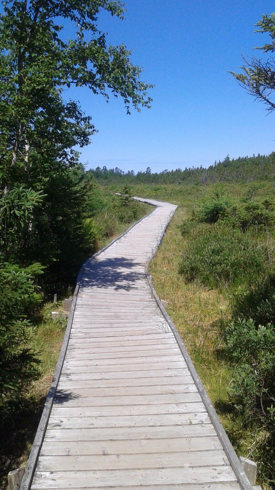 Landing Place Pond Marystown Nl