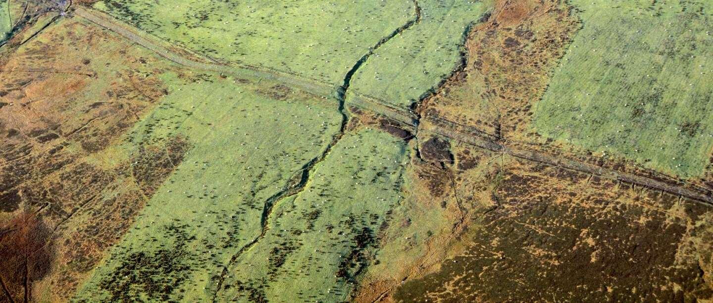 Wheeldale Roman Road