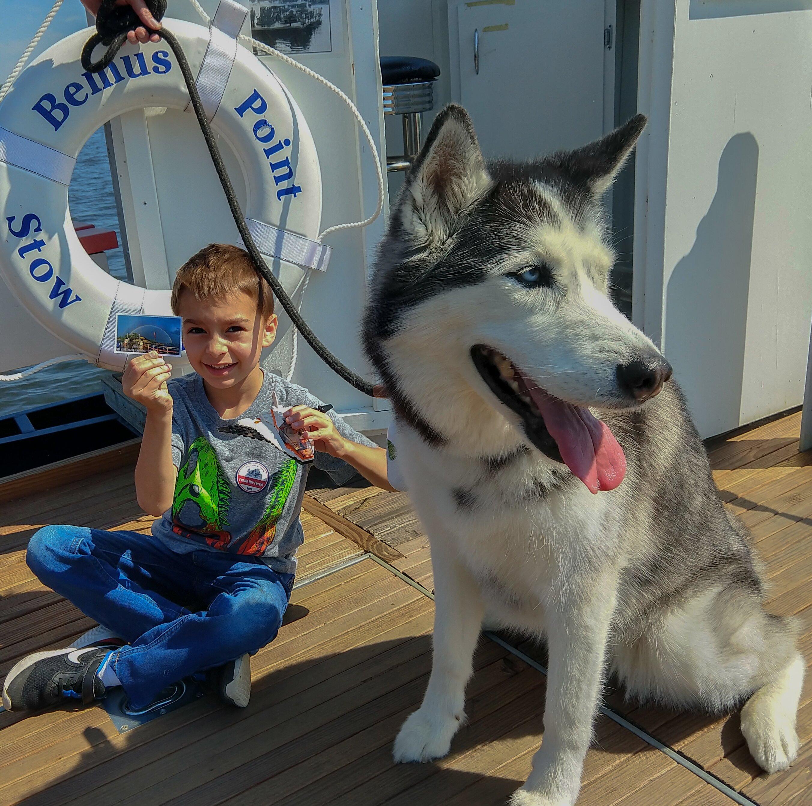 Photo by X6211WMjayk