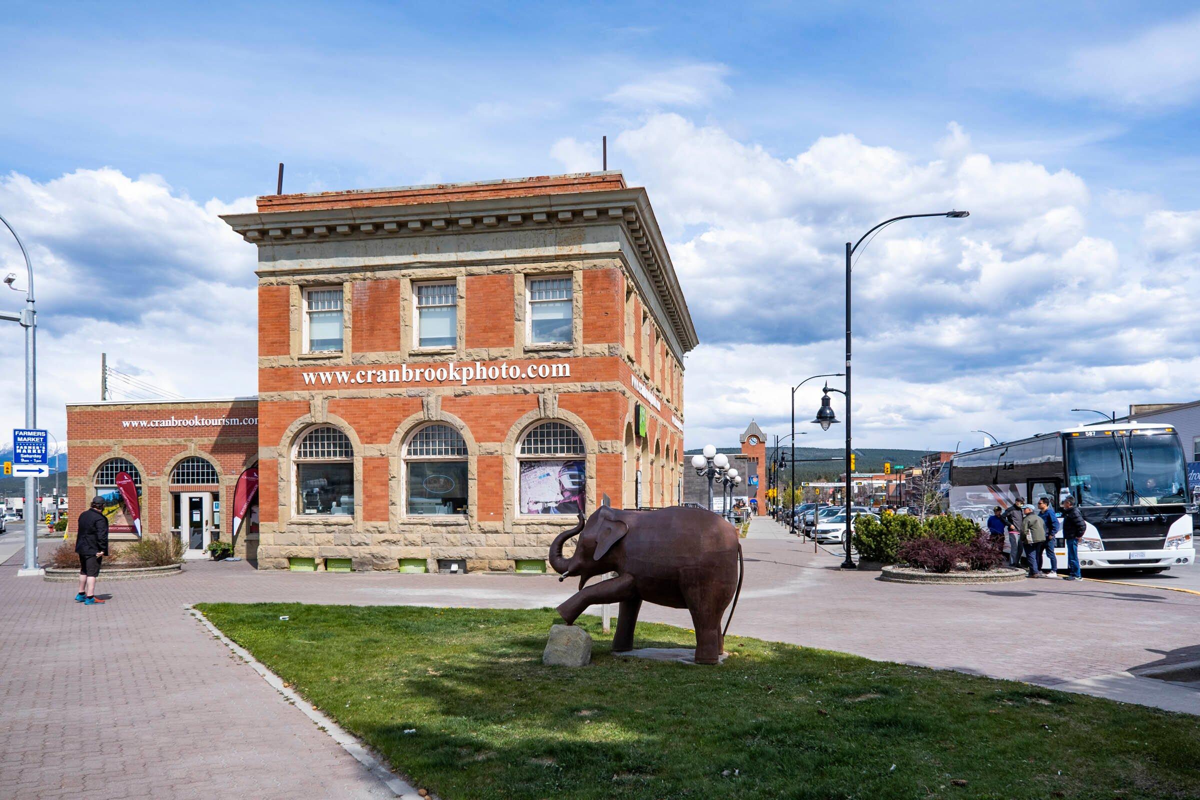 Cranbrook Tourism Visitor Information Centre