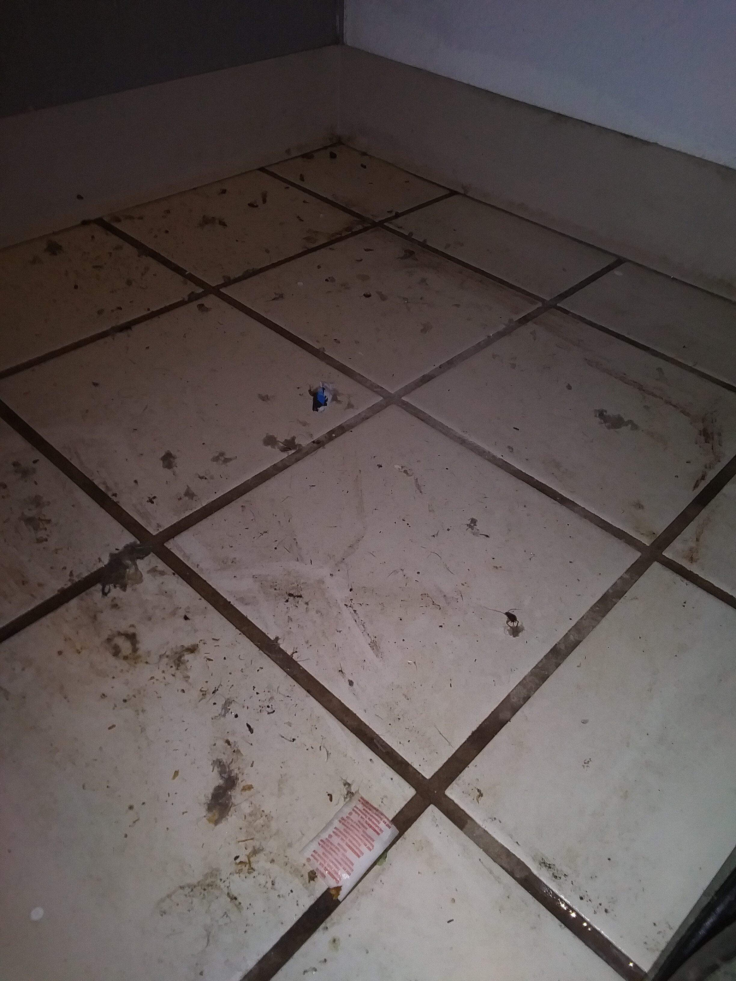 Photo by BigTXtravels