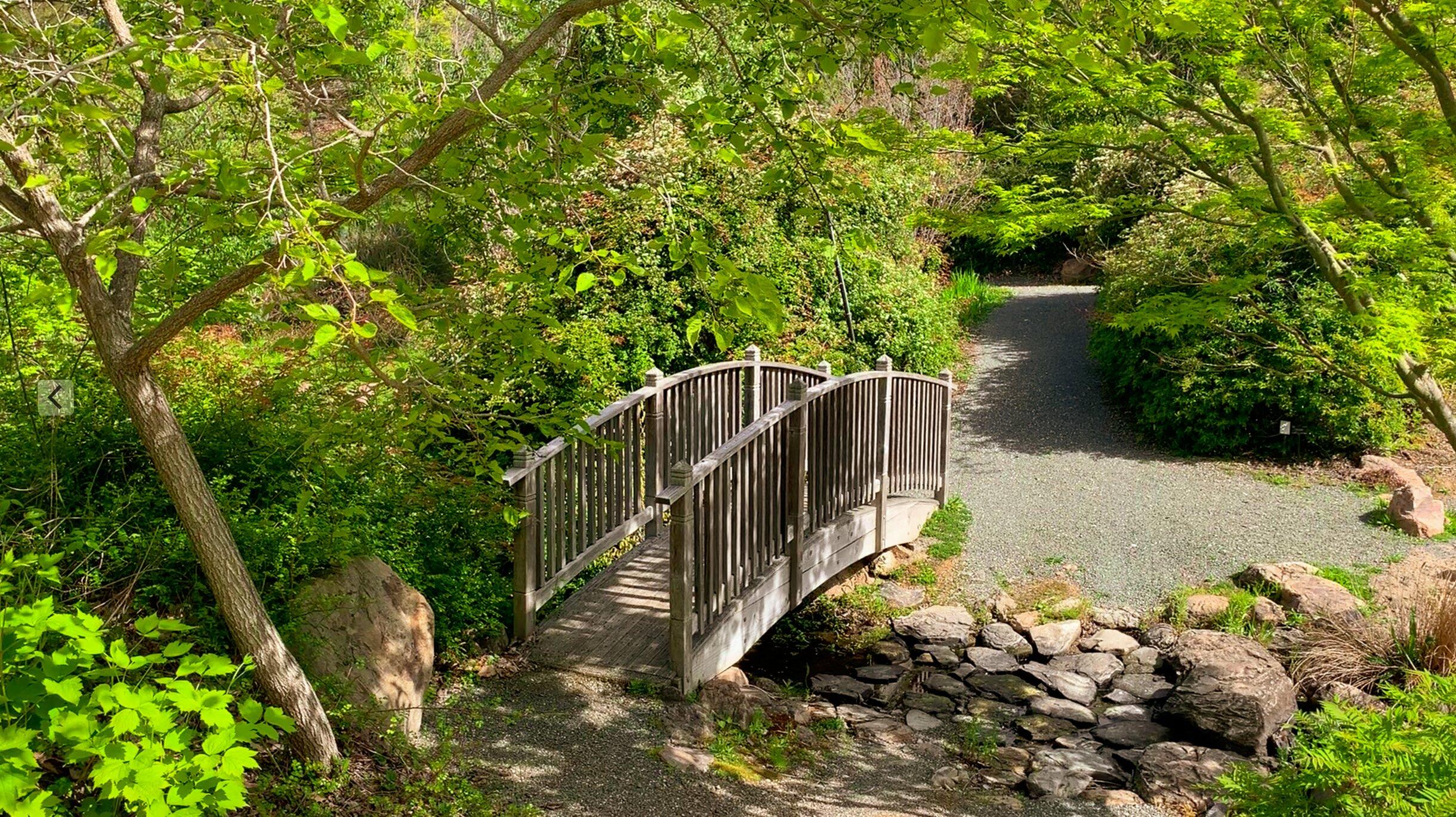 Sonoma Botanical Garden