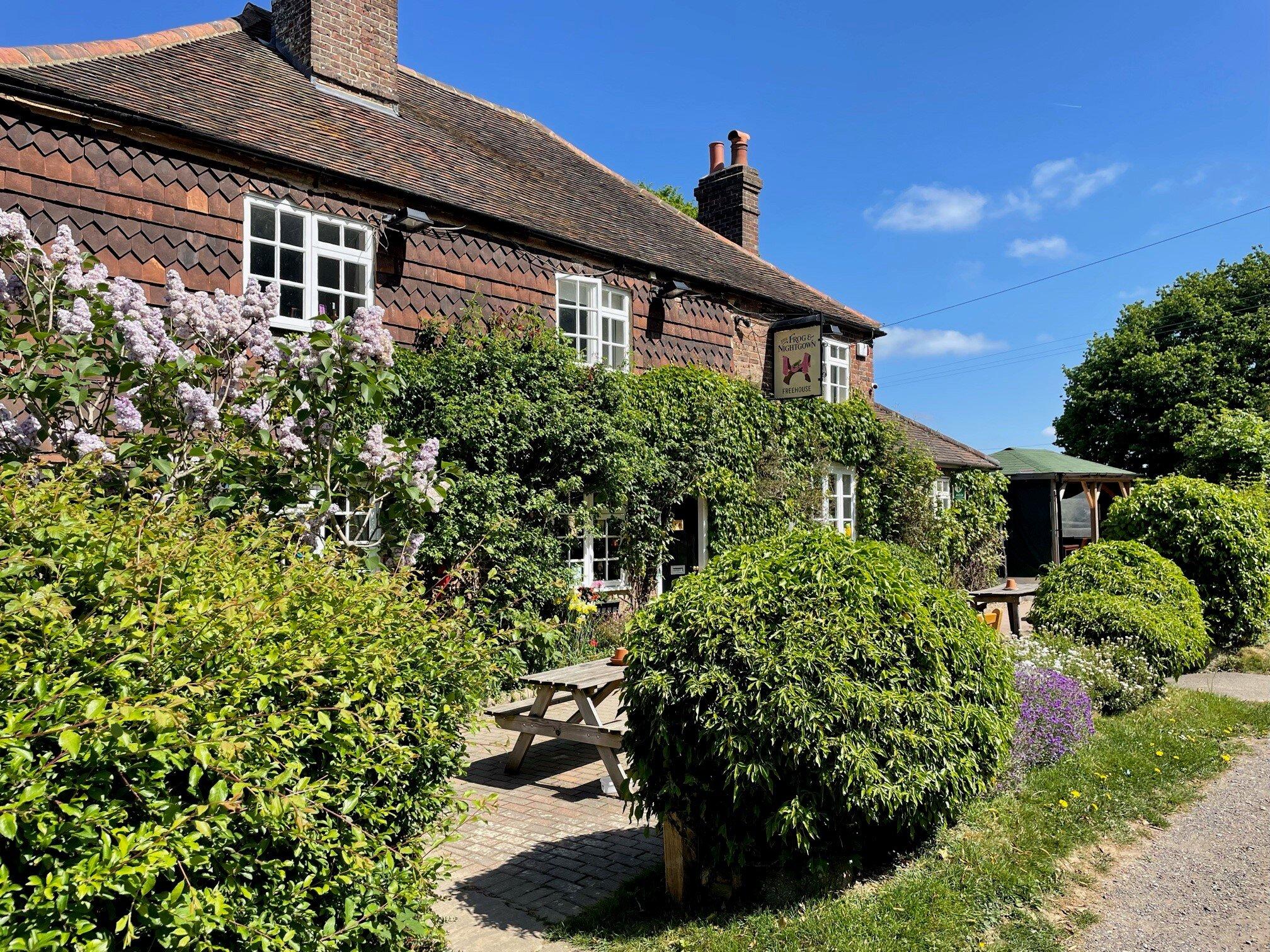 The Frog & Nightgown