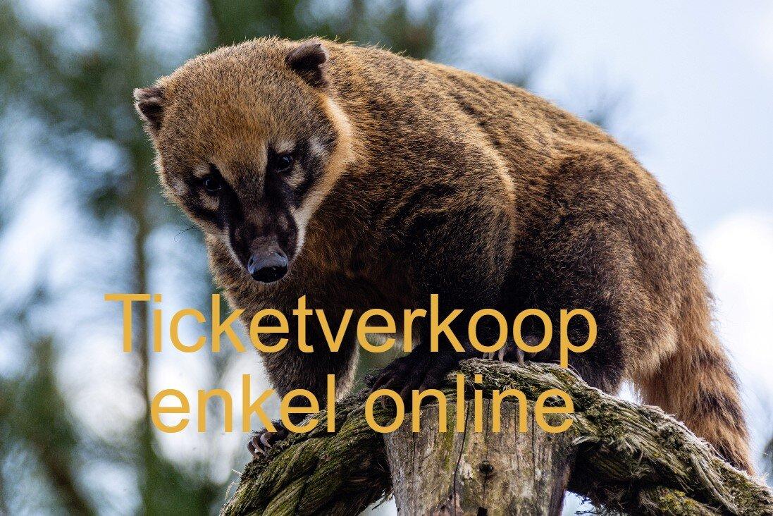 vzw De Zonnegloed Sanctuary