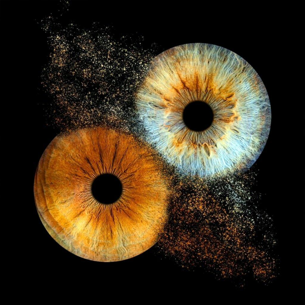 Iris Galerie - La Rochelle