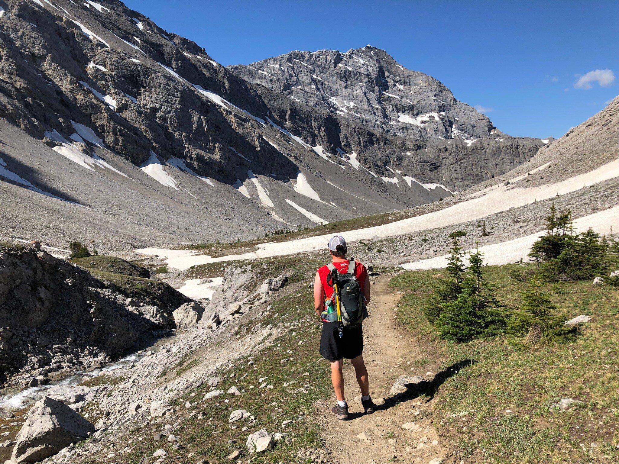 Buller Pass