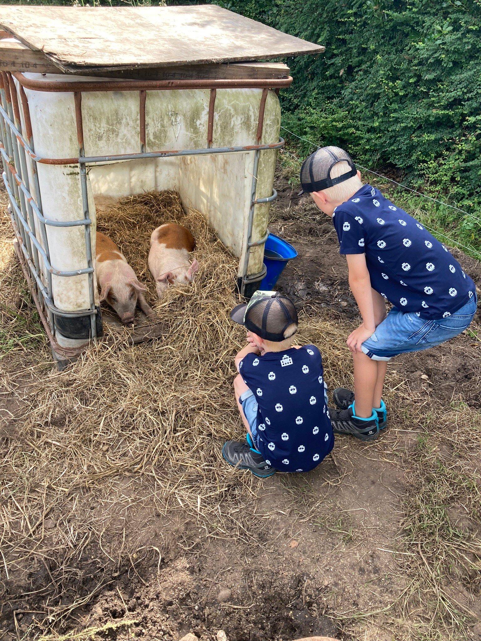 Hveddegaard Farm Holiday