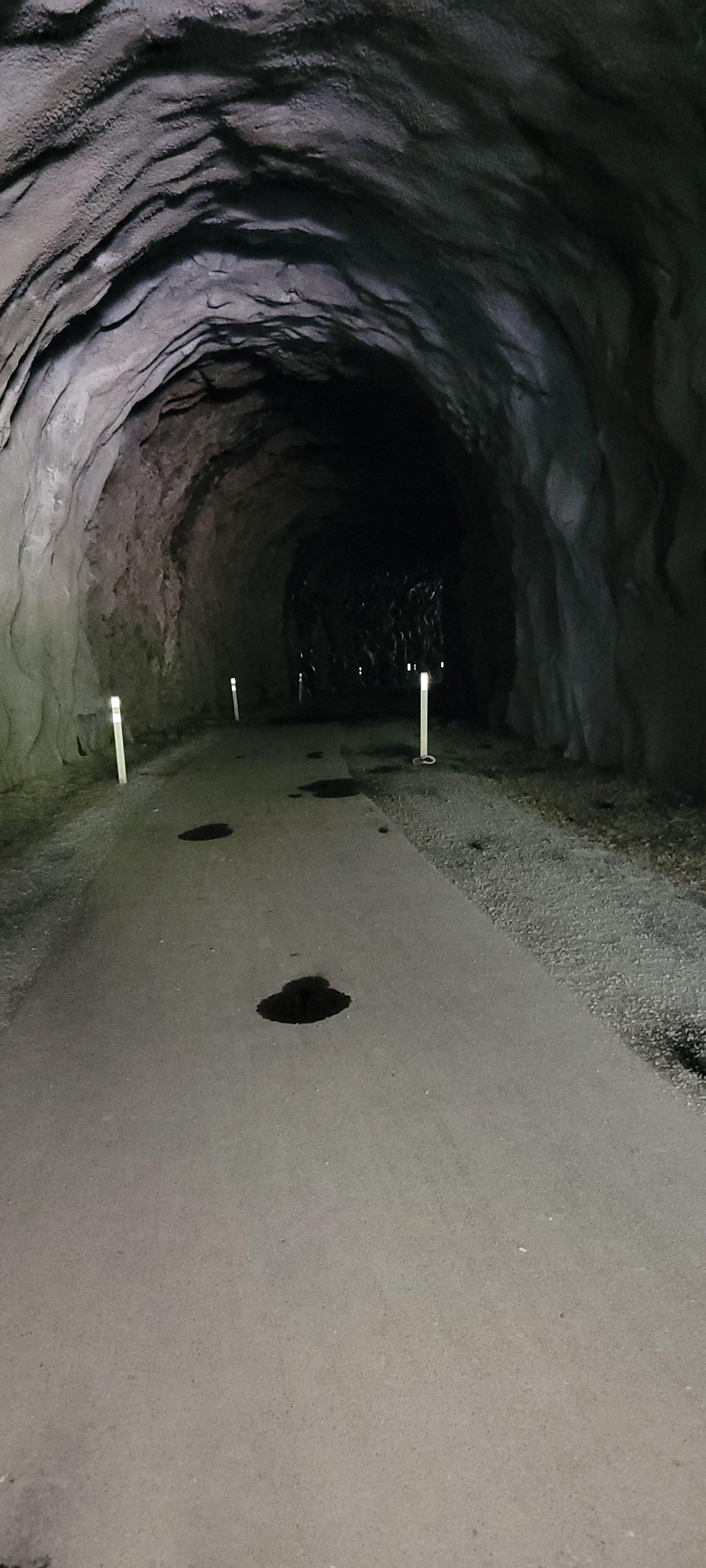 Spruce Railroad Trail