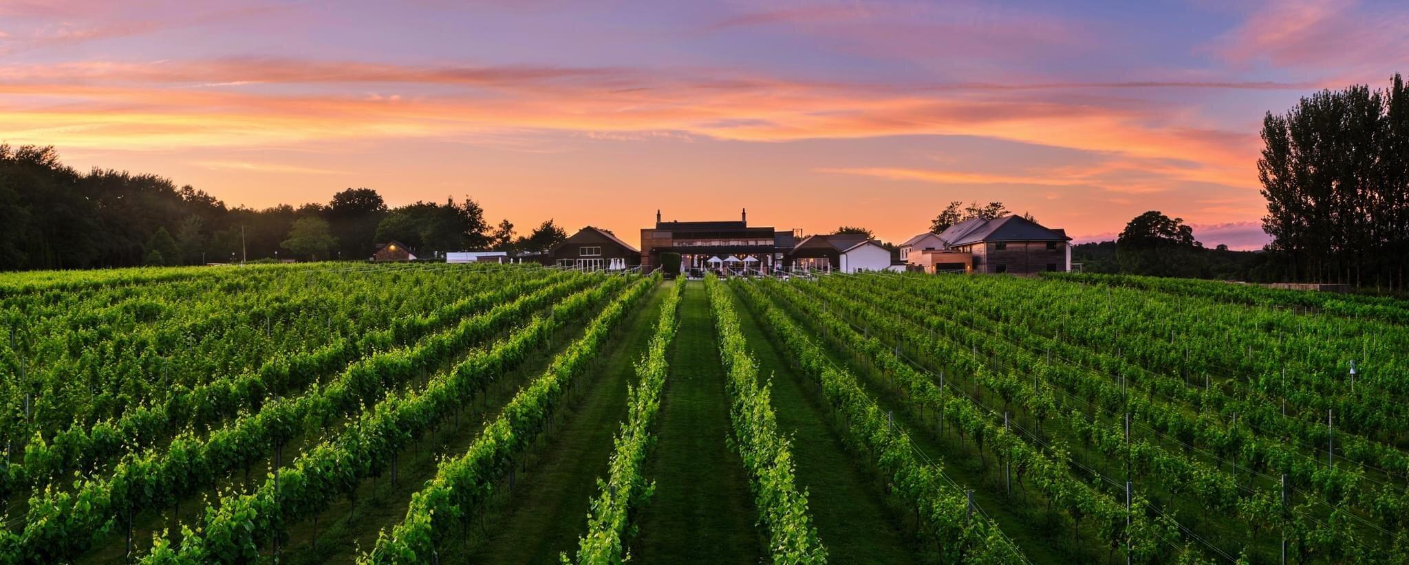 Llanerch Vineyard Hotel