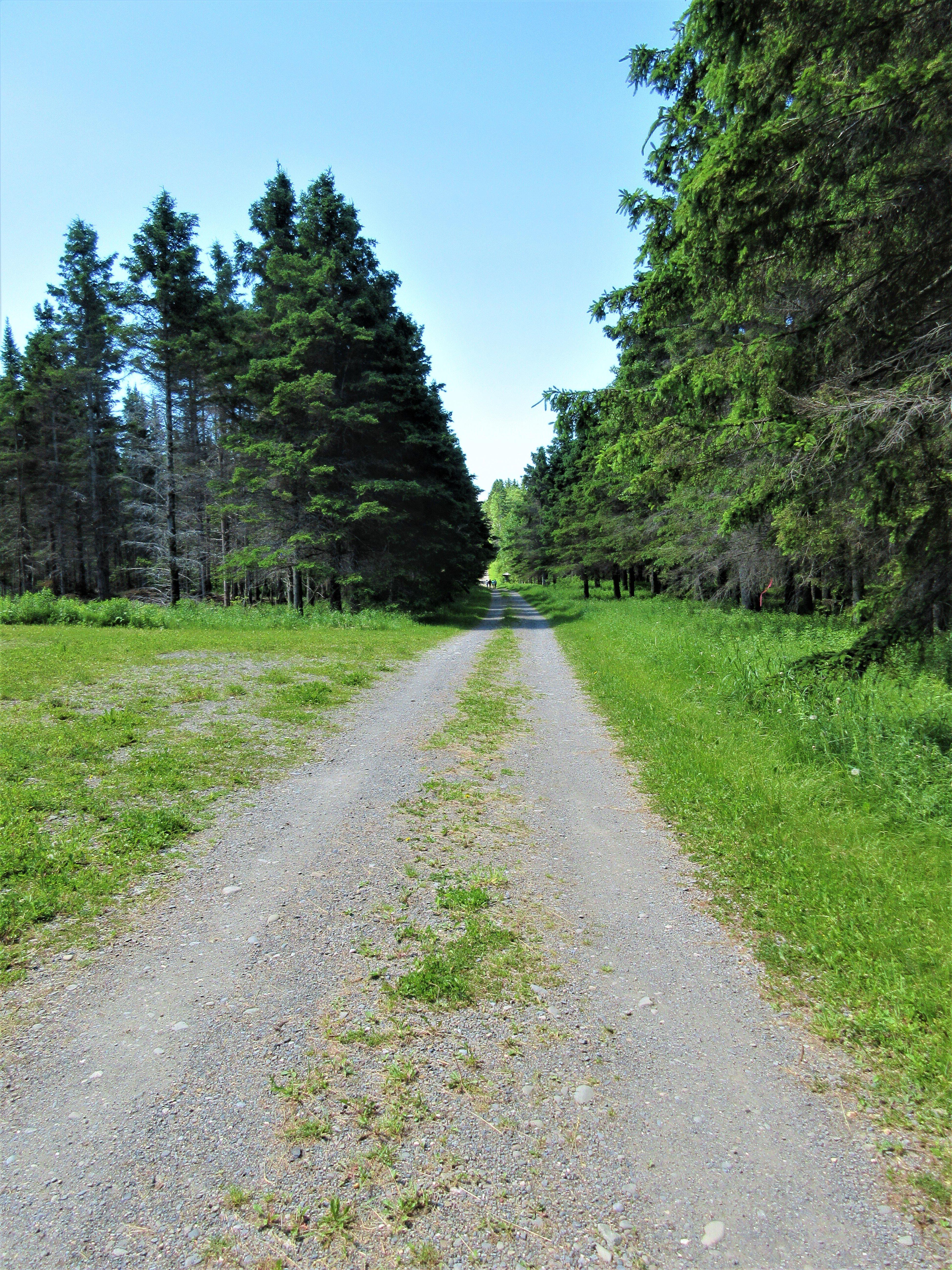 Phare de la Pointe Duthie