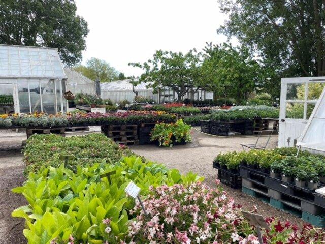 Åberg Trädgård & Café