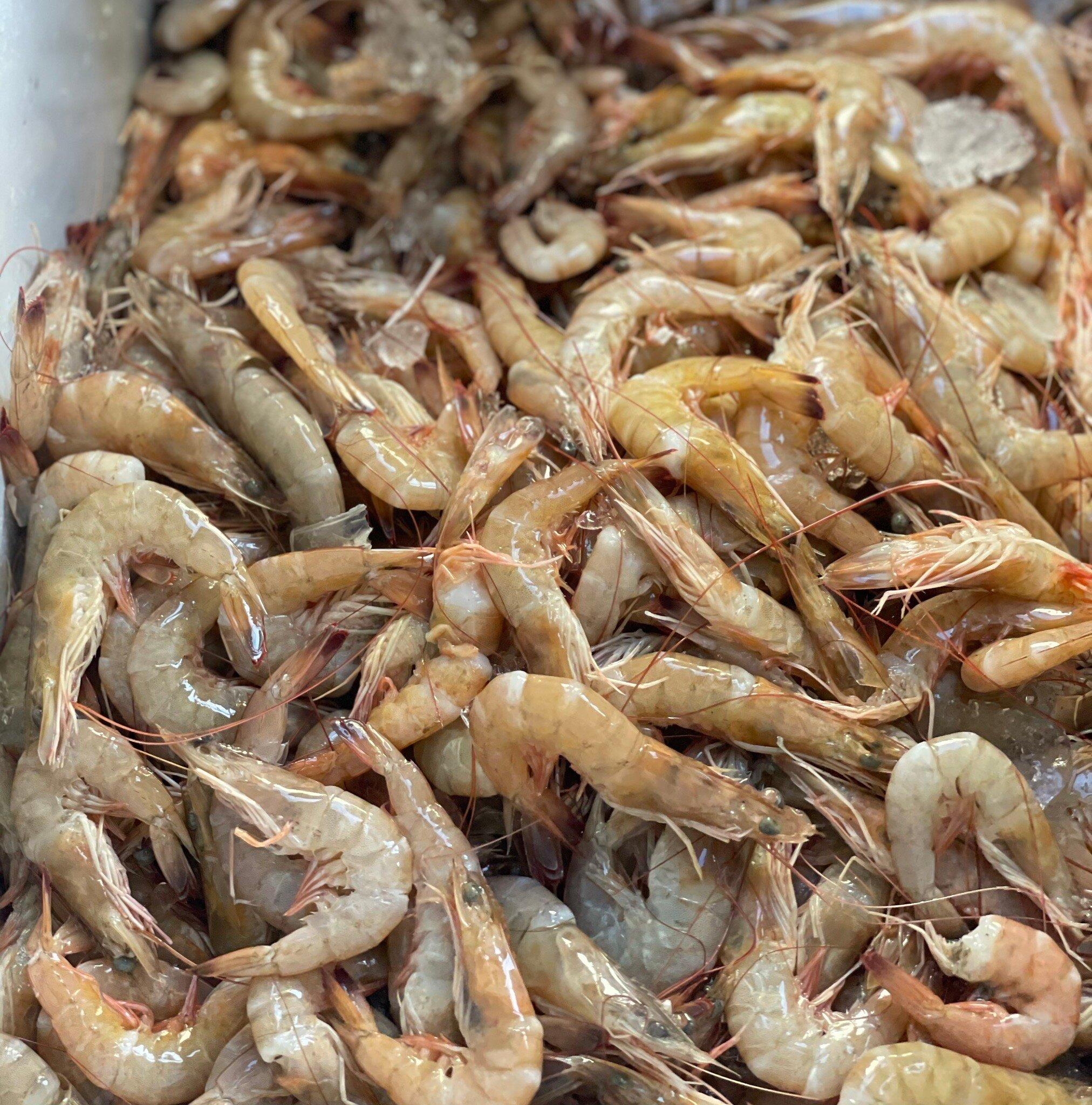 Seaharvest Fresh Shrimp