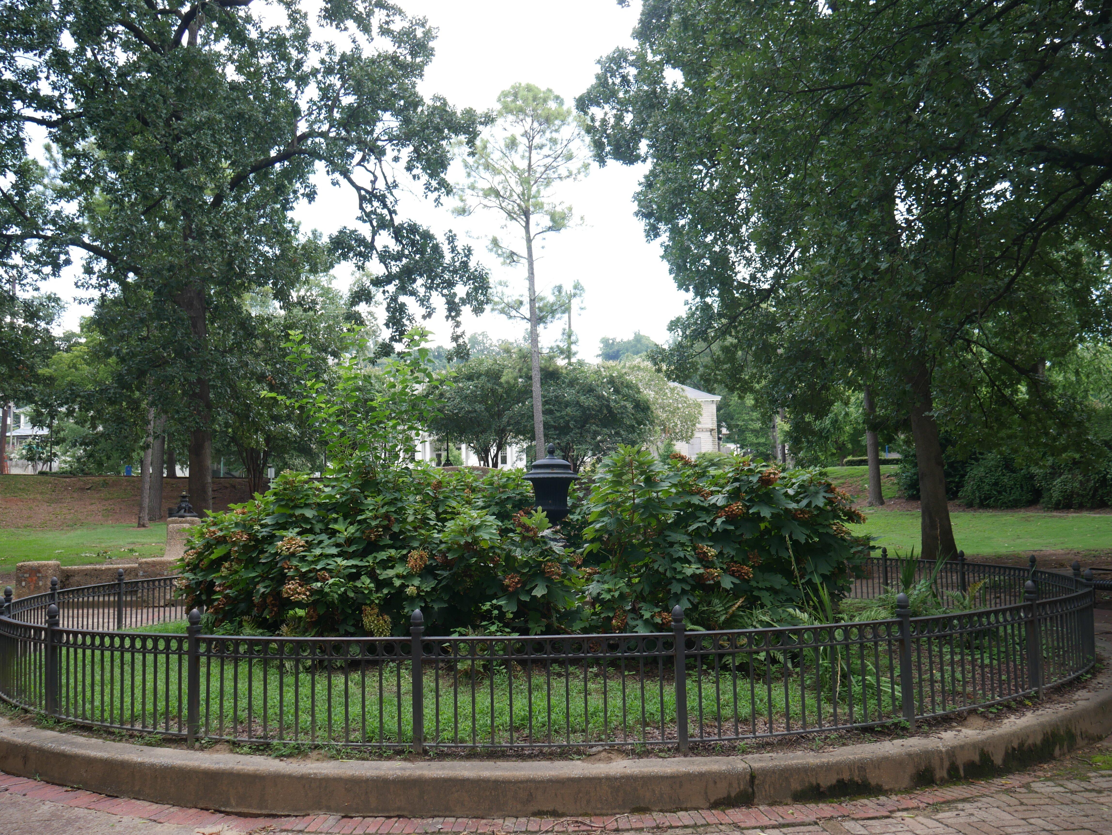Rhodes Park