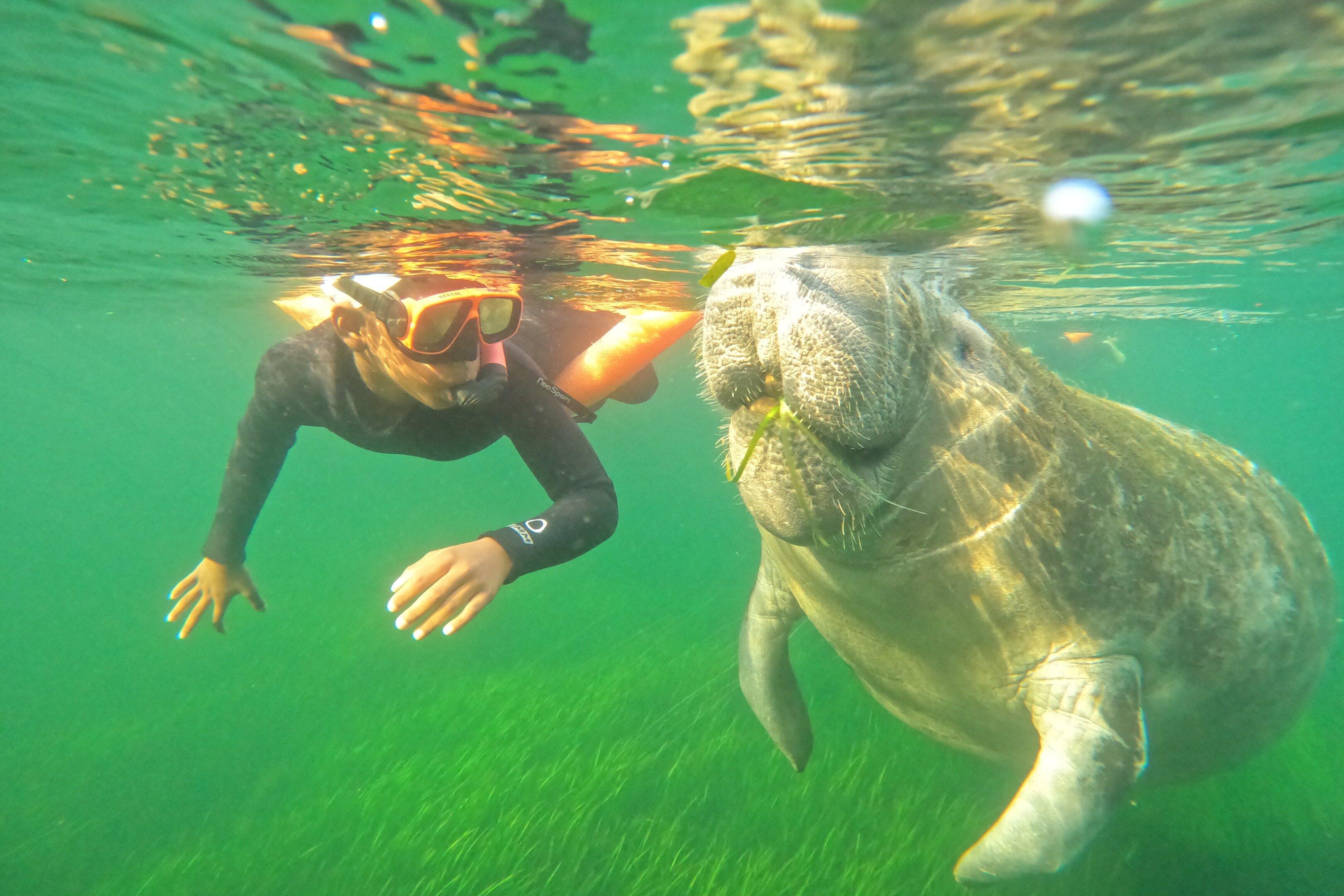 Nature's Discovery
