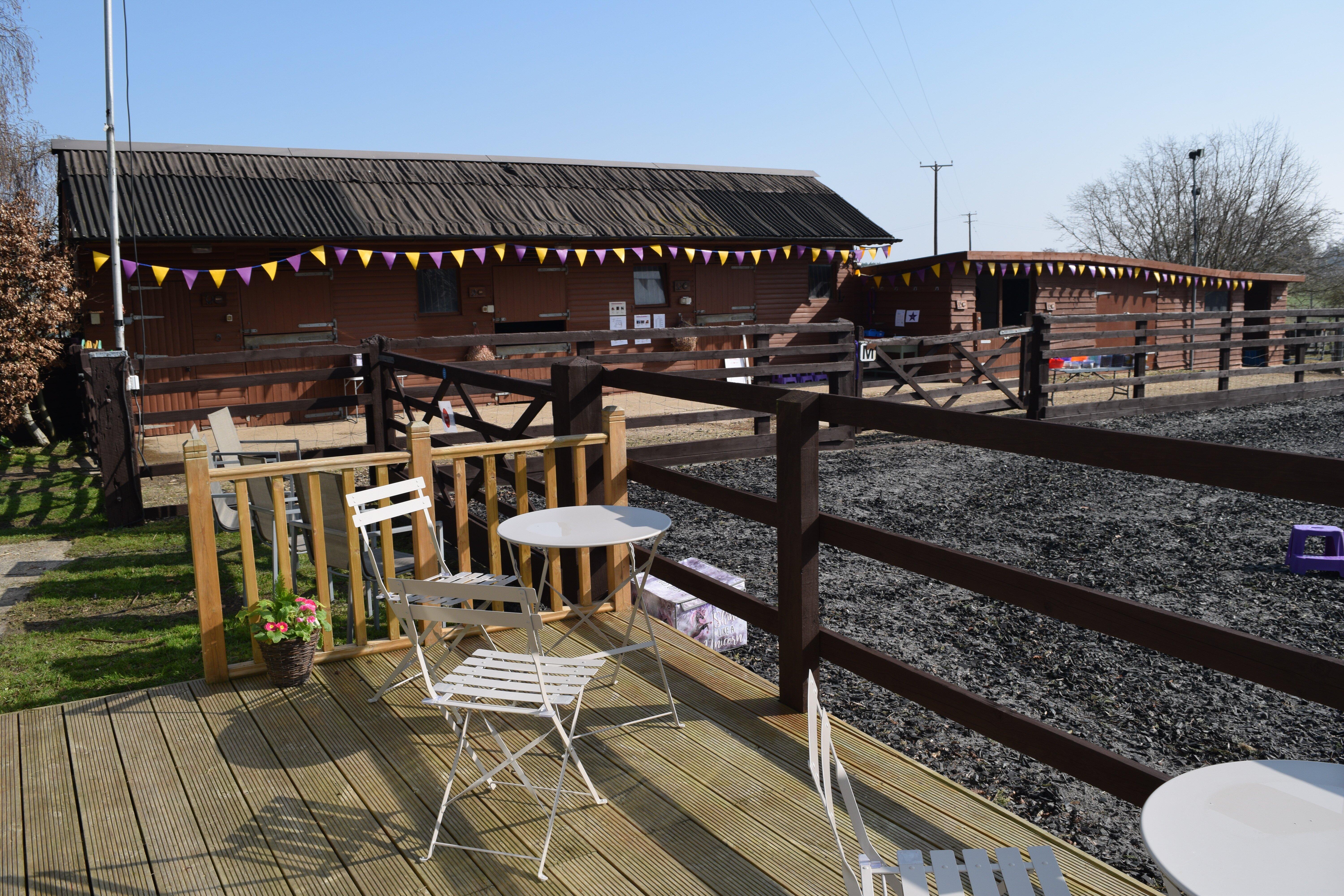 My Miniature Pony Party