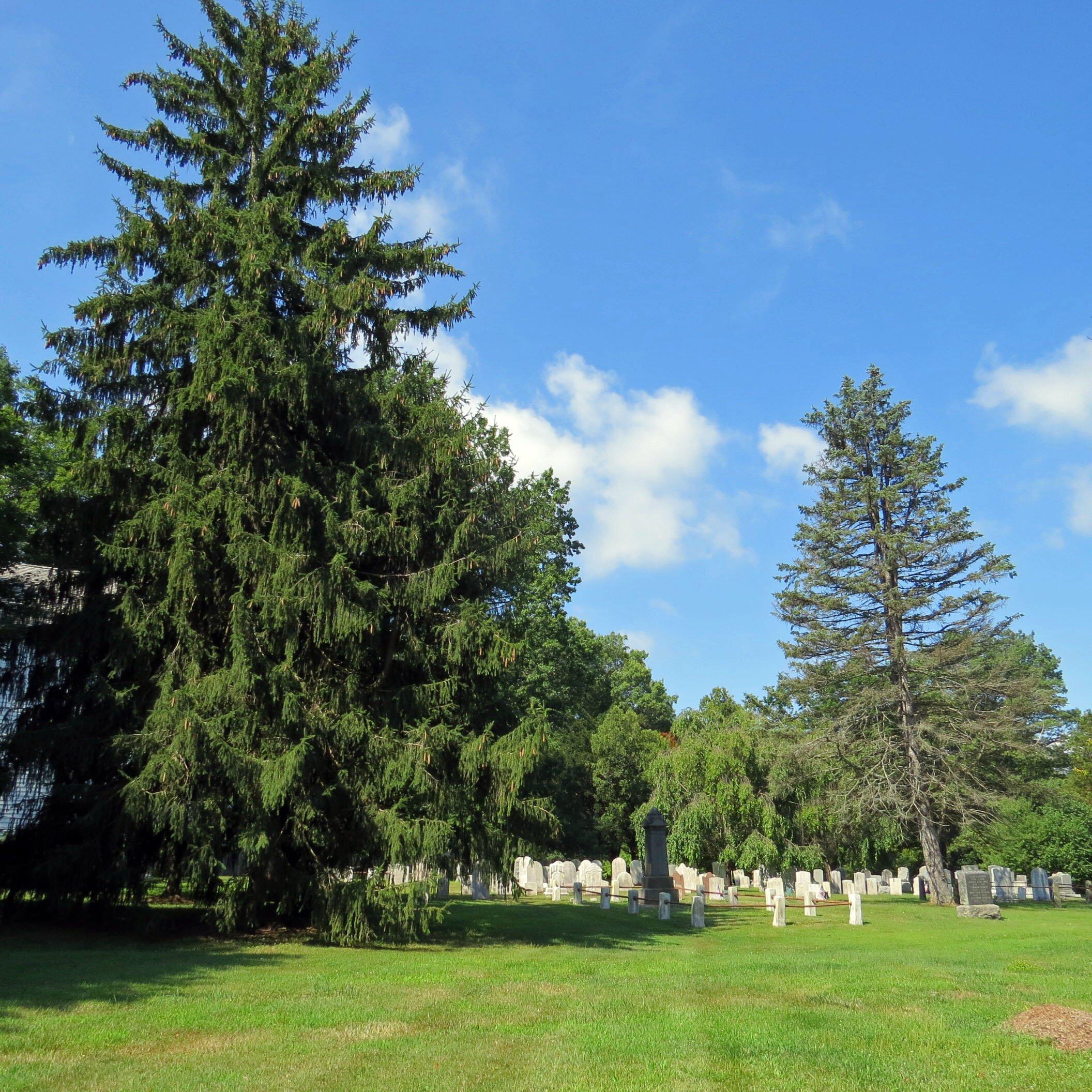 Photo by MitchPhyllis65