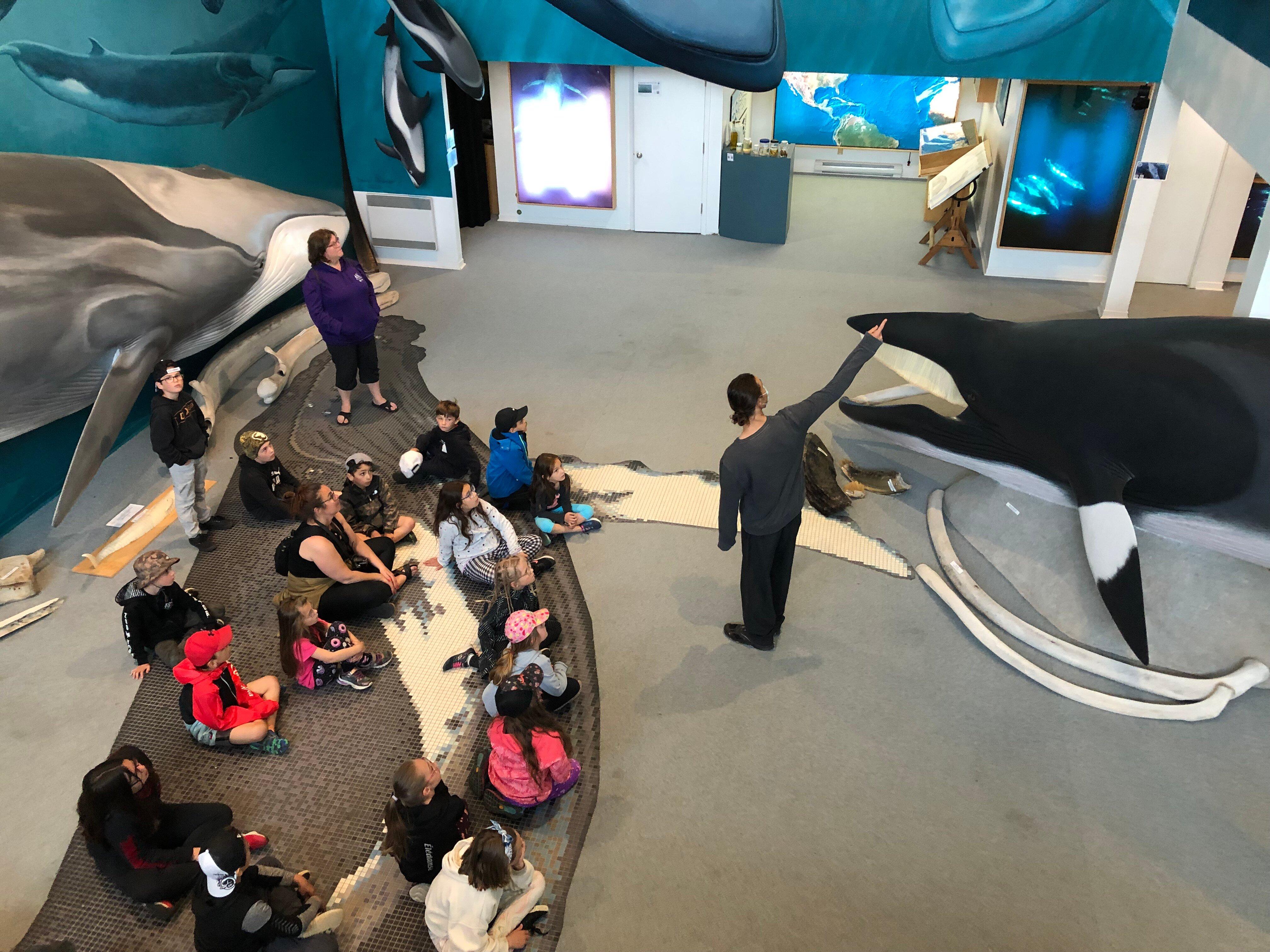 Mingan Island Cetacean Study Research Station