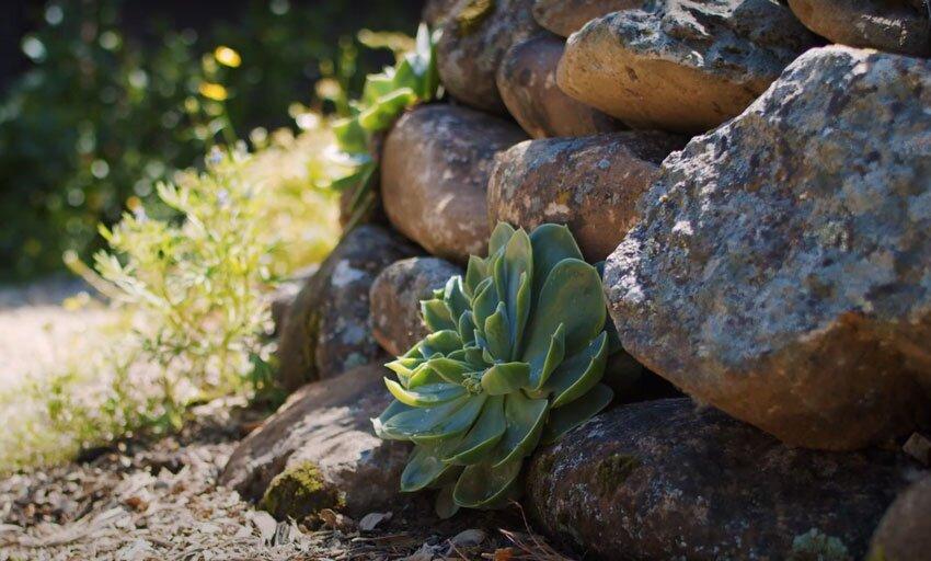 Photo by homegroundhaitats