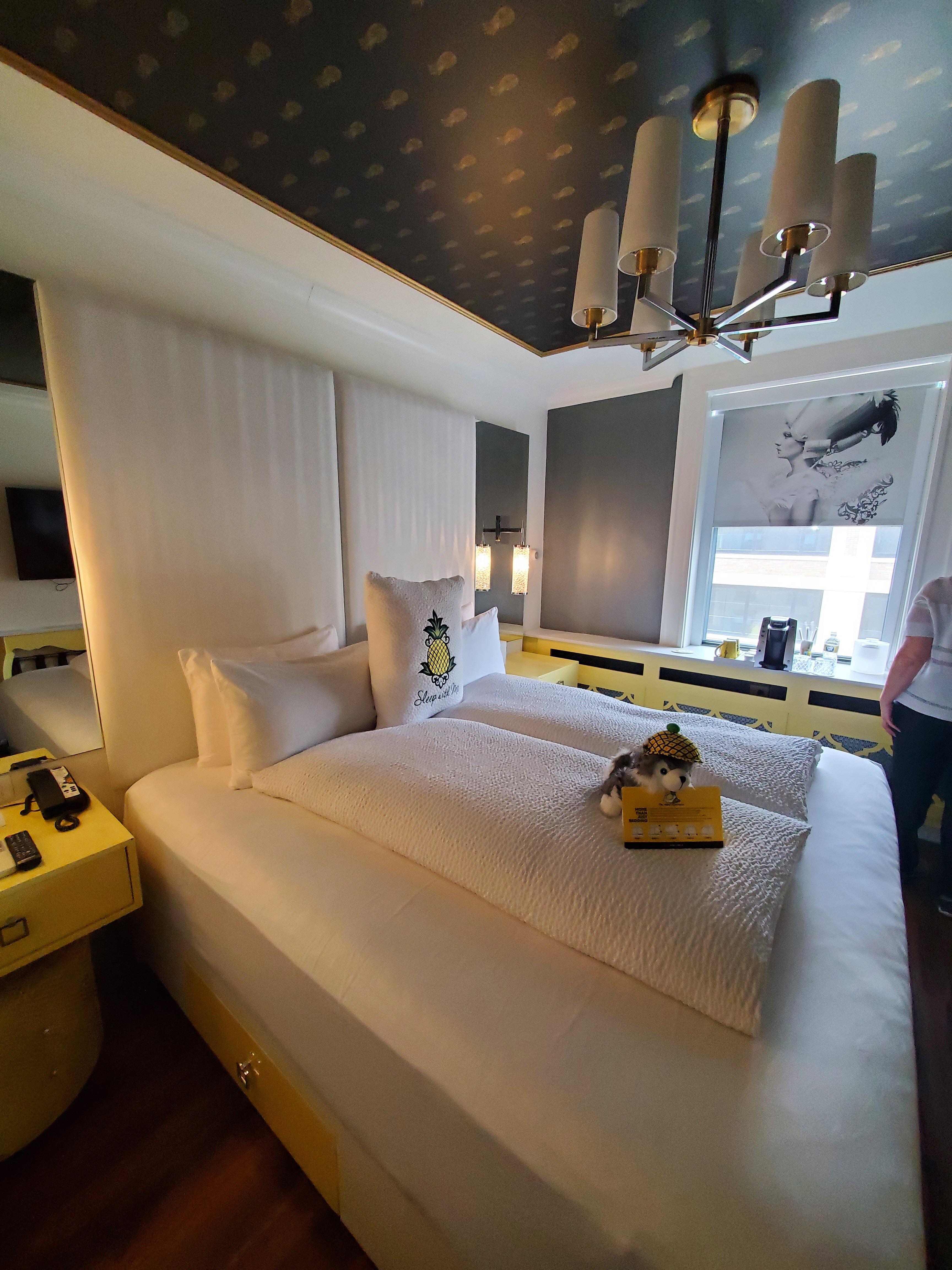 Staypineapple Boston