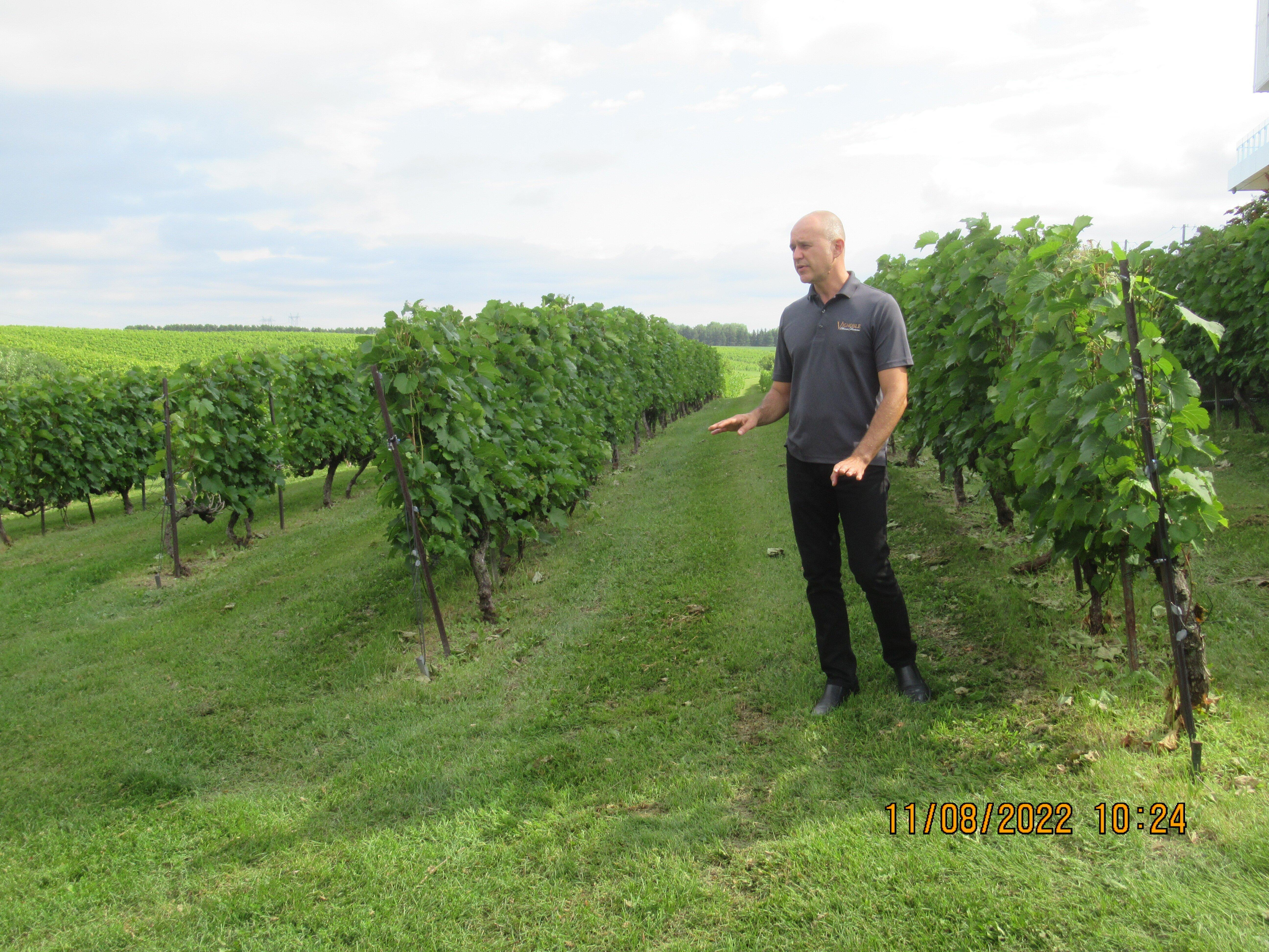 Vignoble Chateau Fontaine