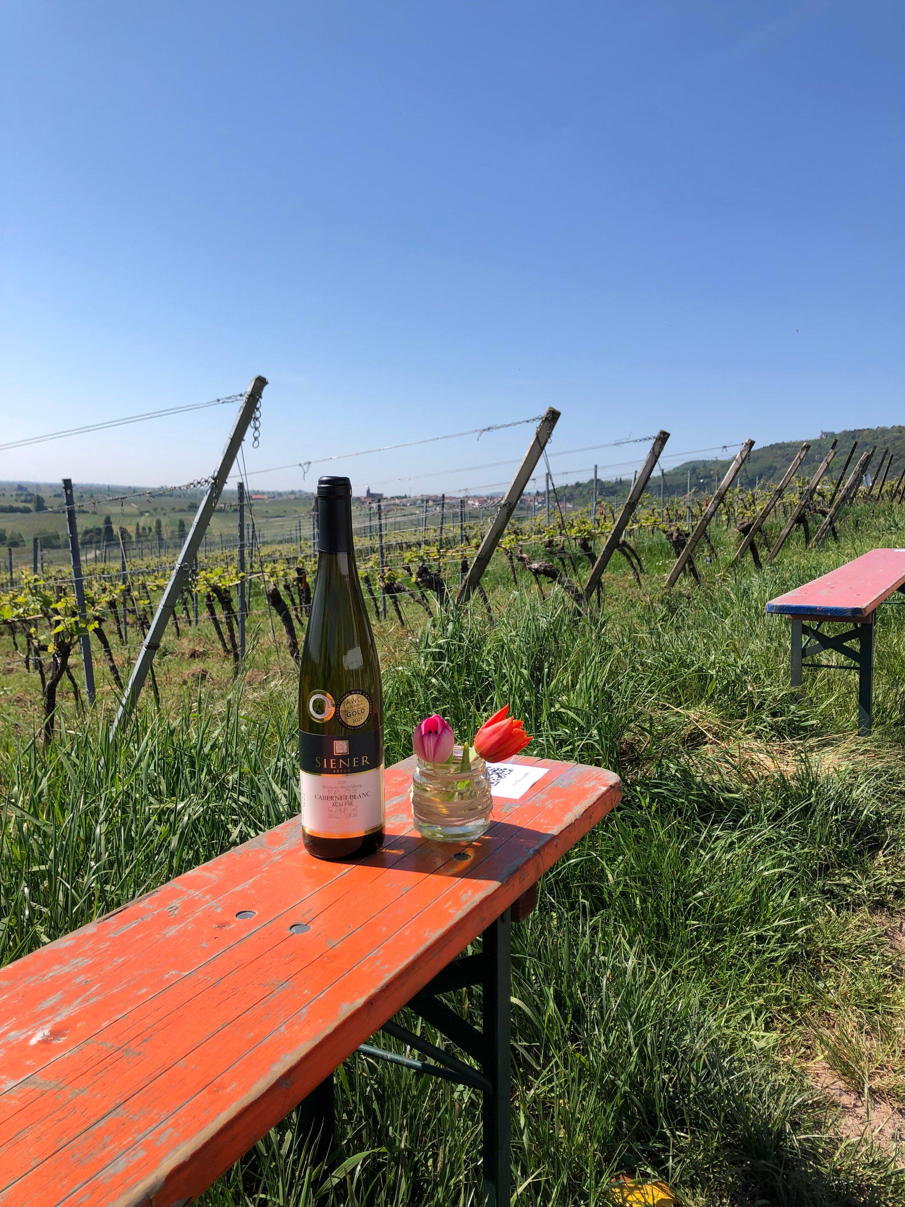 weingut Artur Siener, Inhaber Matthias Siener