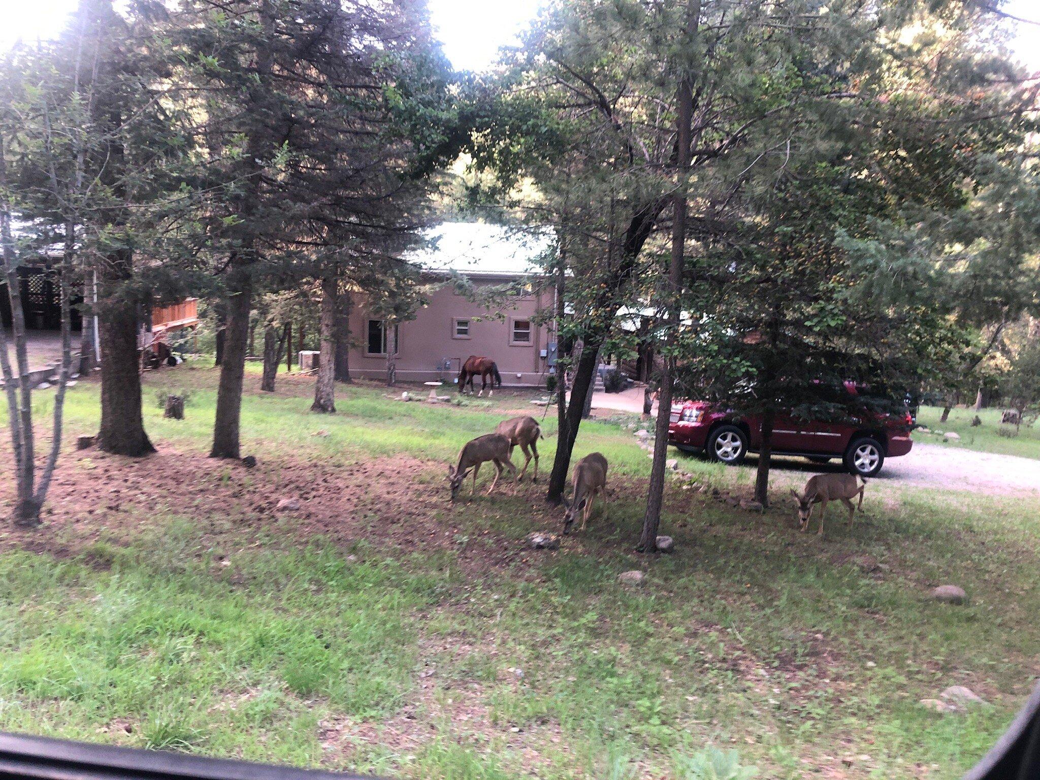 Photo by 576kimberlya