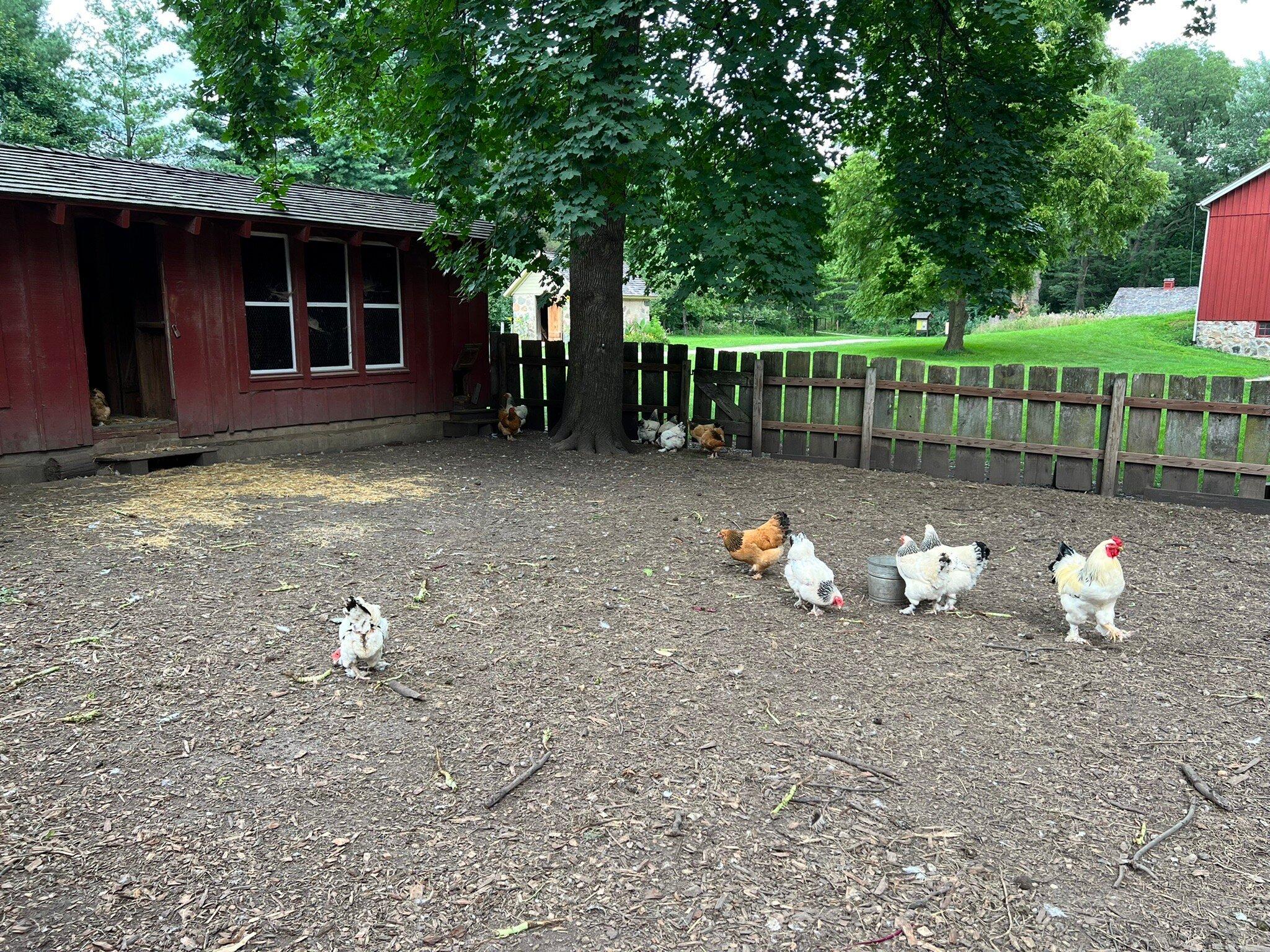 Volkening Heritage Farm