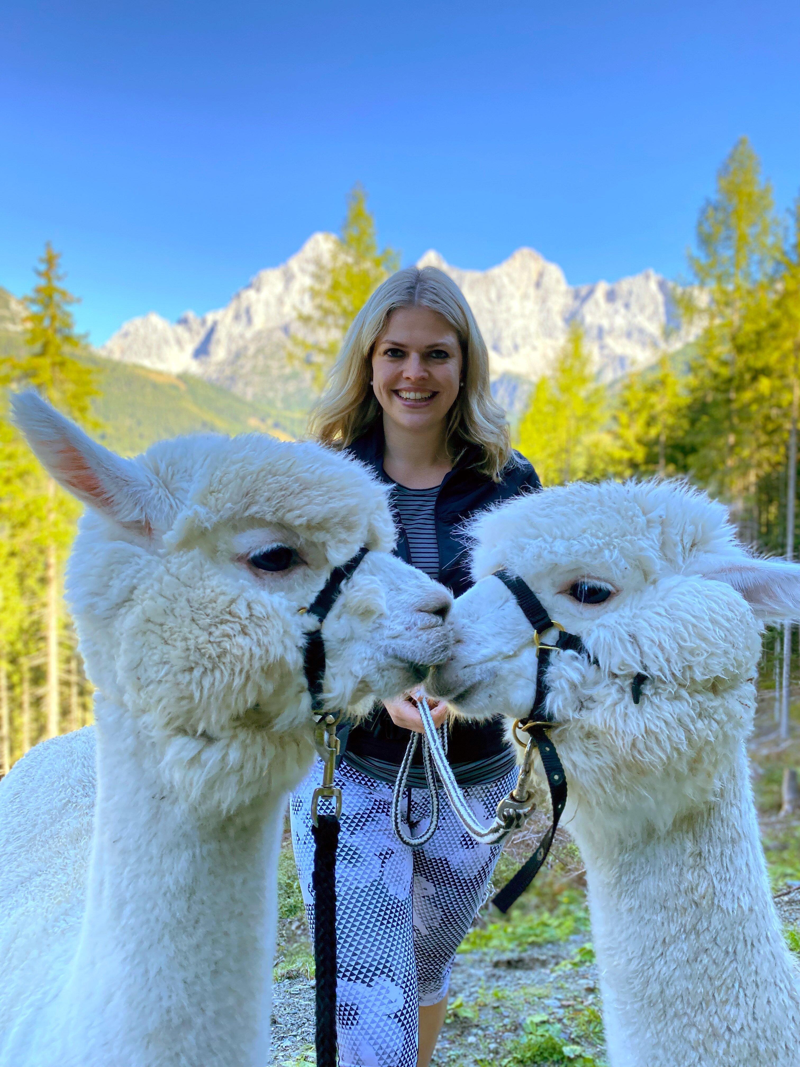 Photo by DachsteinAlpakas