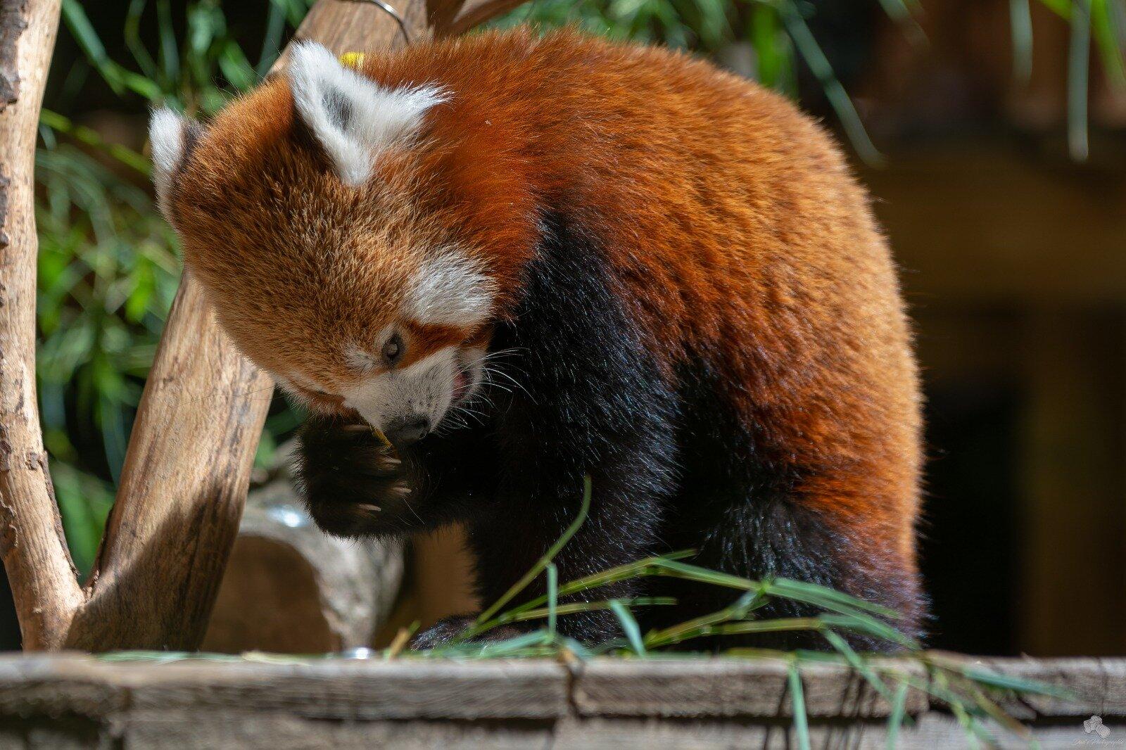 Les Terres De Nataé