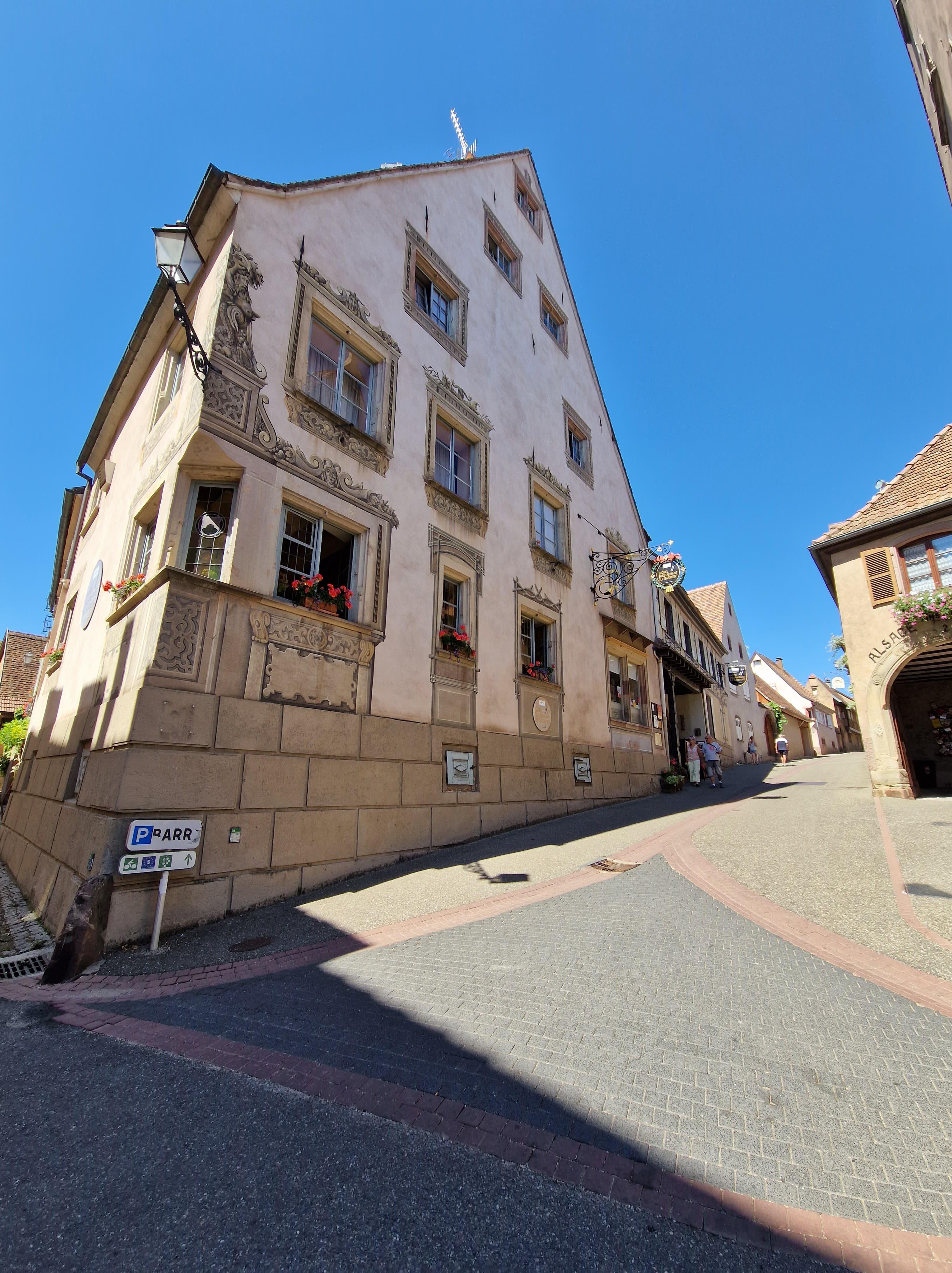 Photo by nico_j_67130