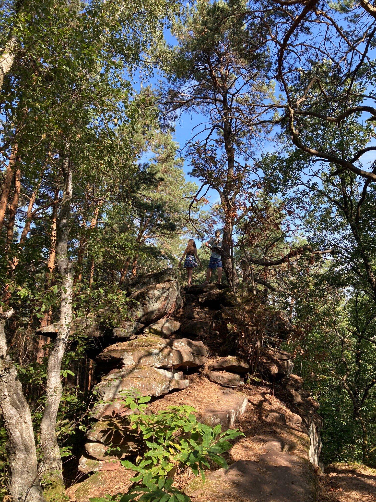 Dimbacher Bundsandstein Hohenweg