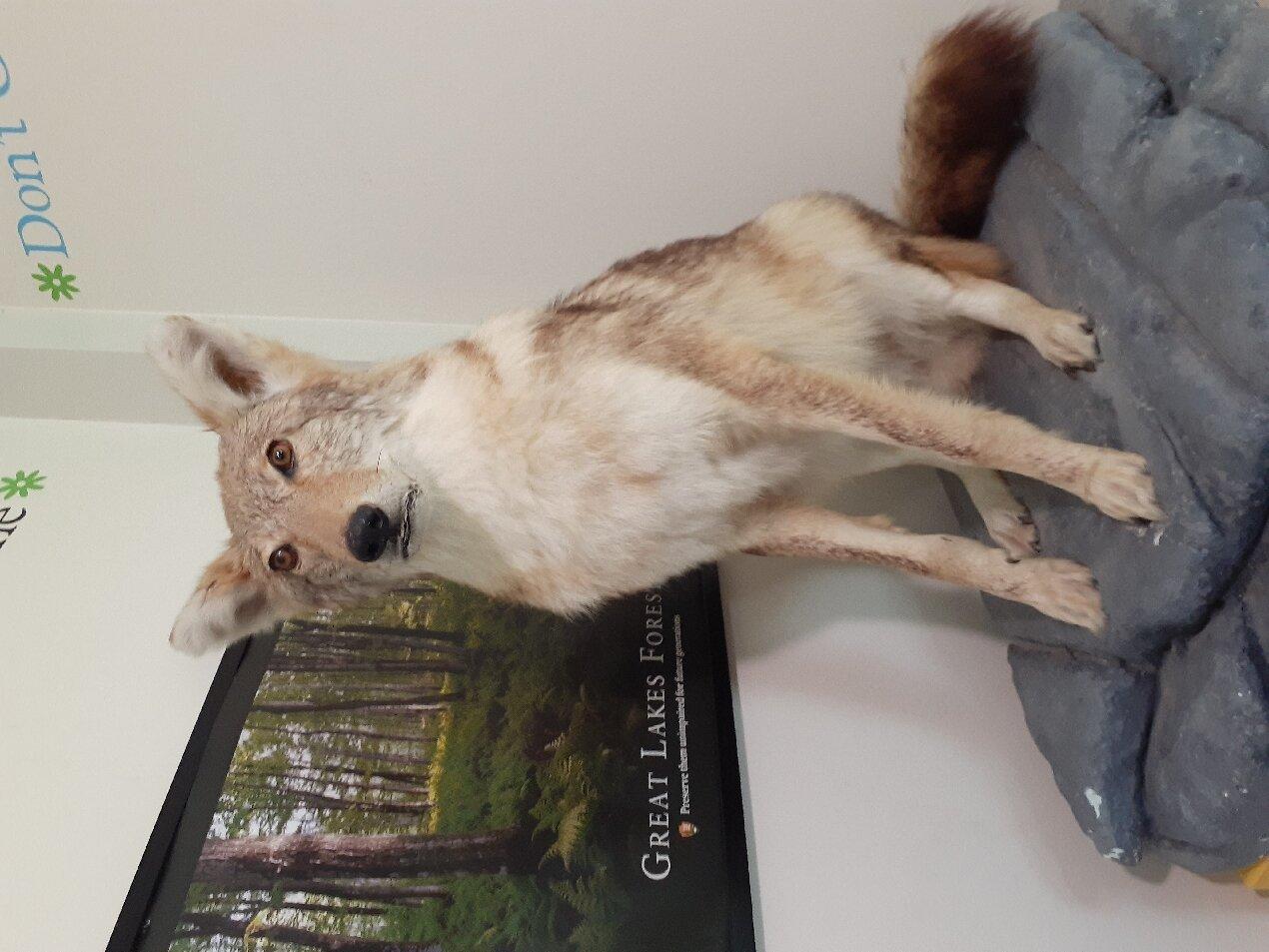 Hunt House Visitor Center