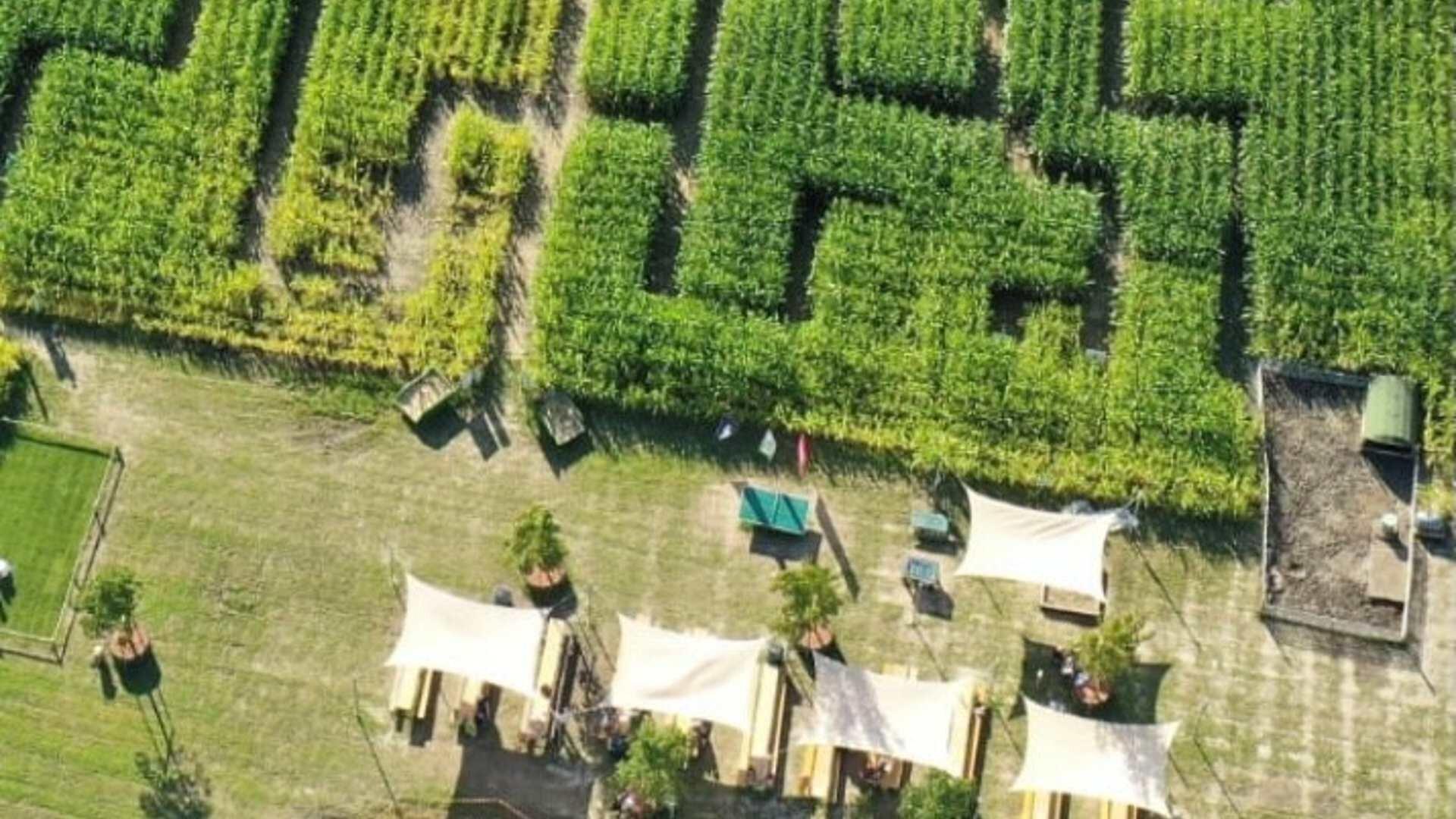 Steinhof Maislabyrinth