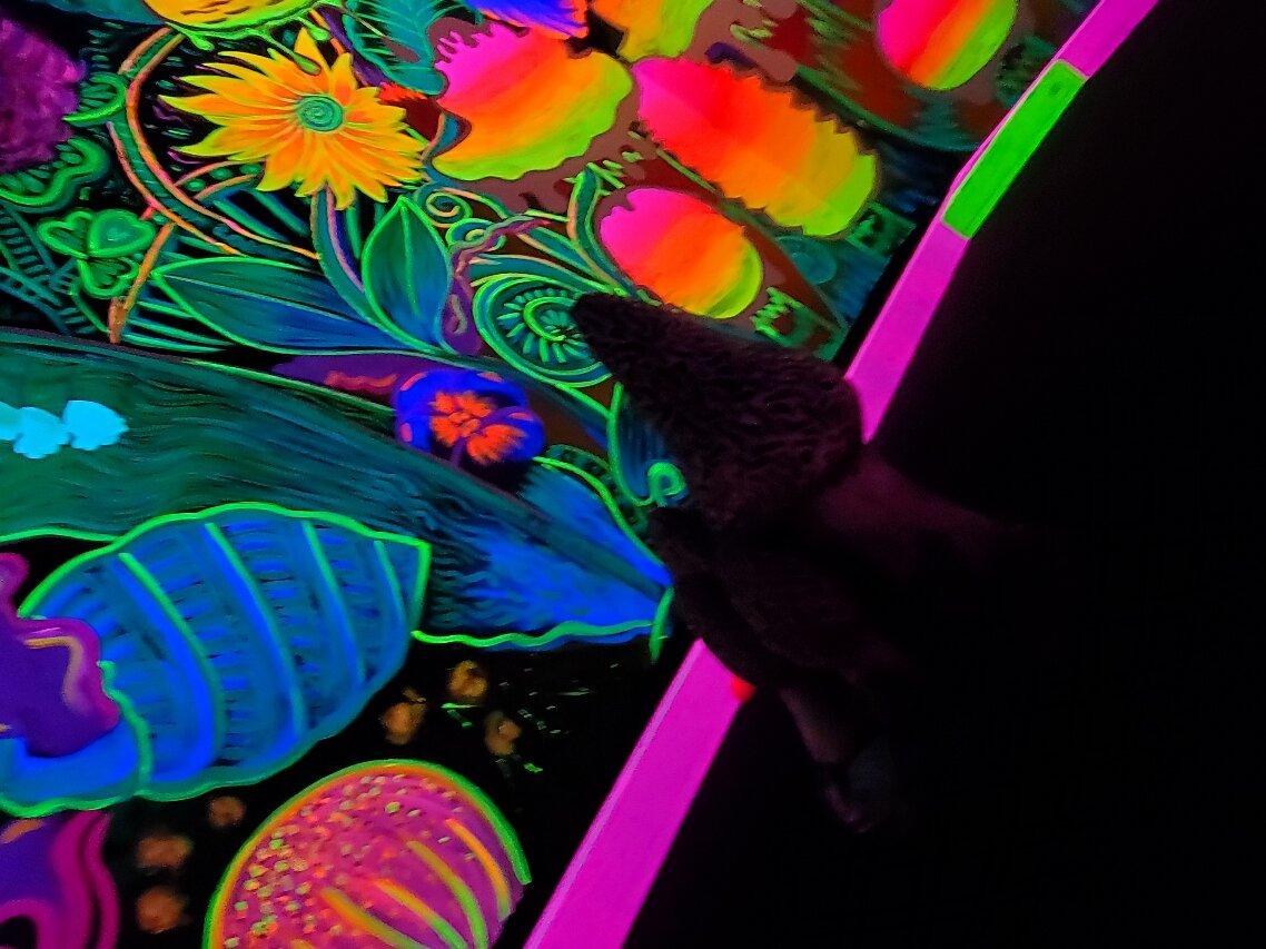 Photo by AlwaysTraveling65