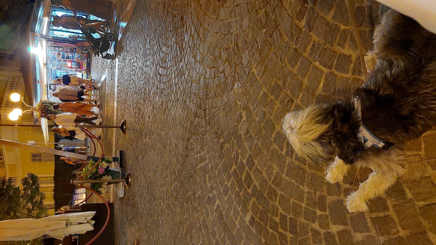 L'adresse Ristorante Pizzeria