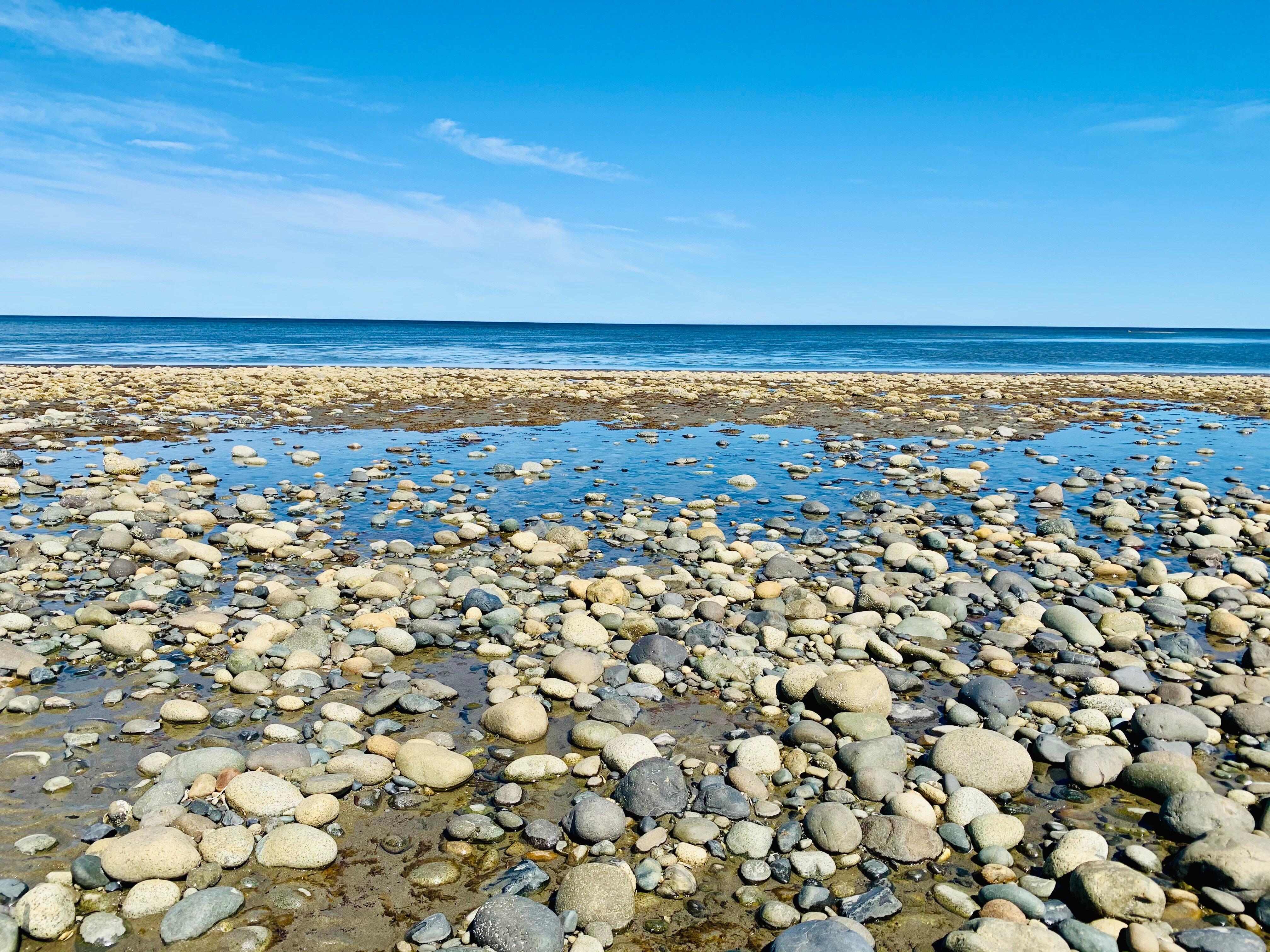 Andrews Place Road Trail