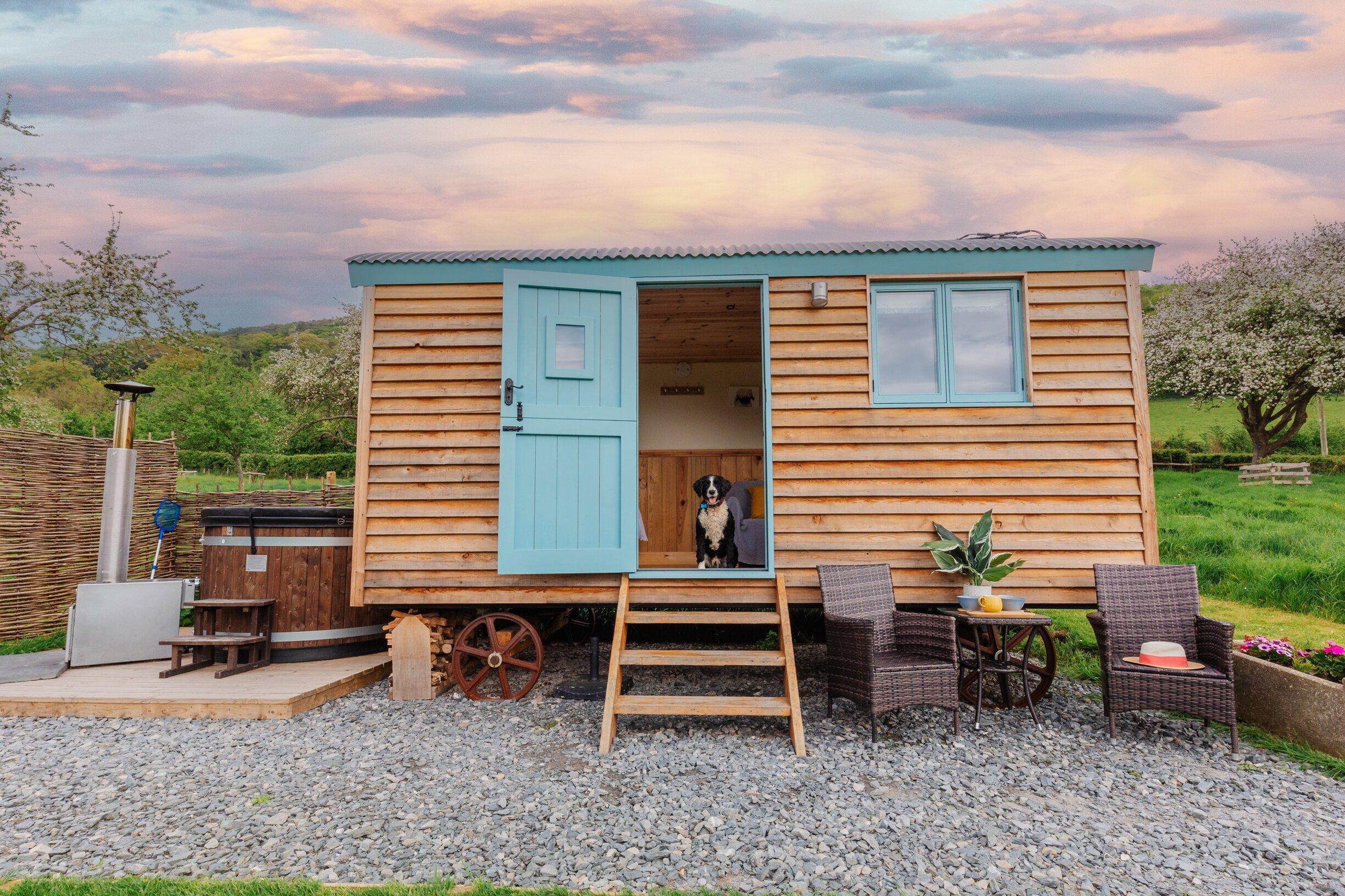 Orchard Escapes Exmoor