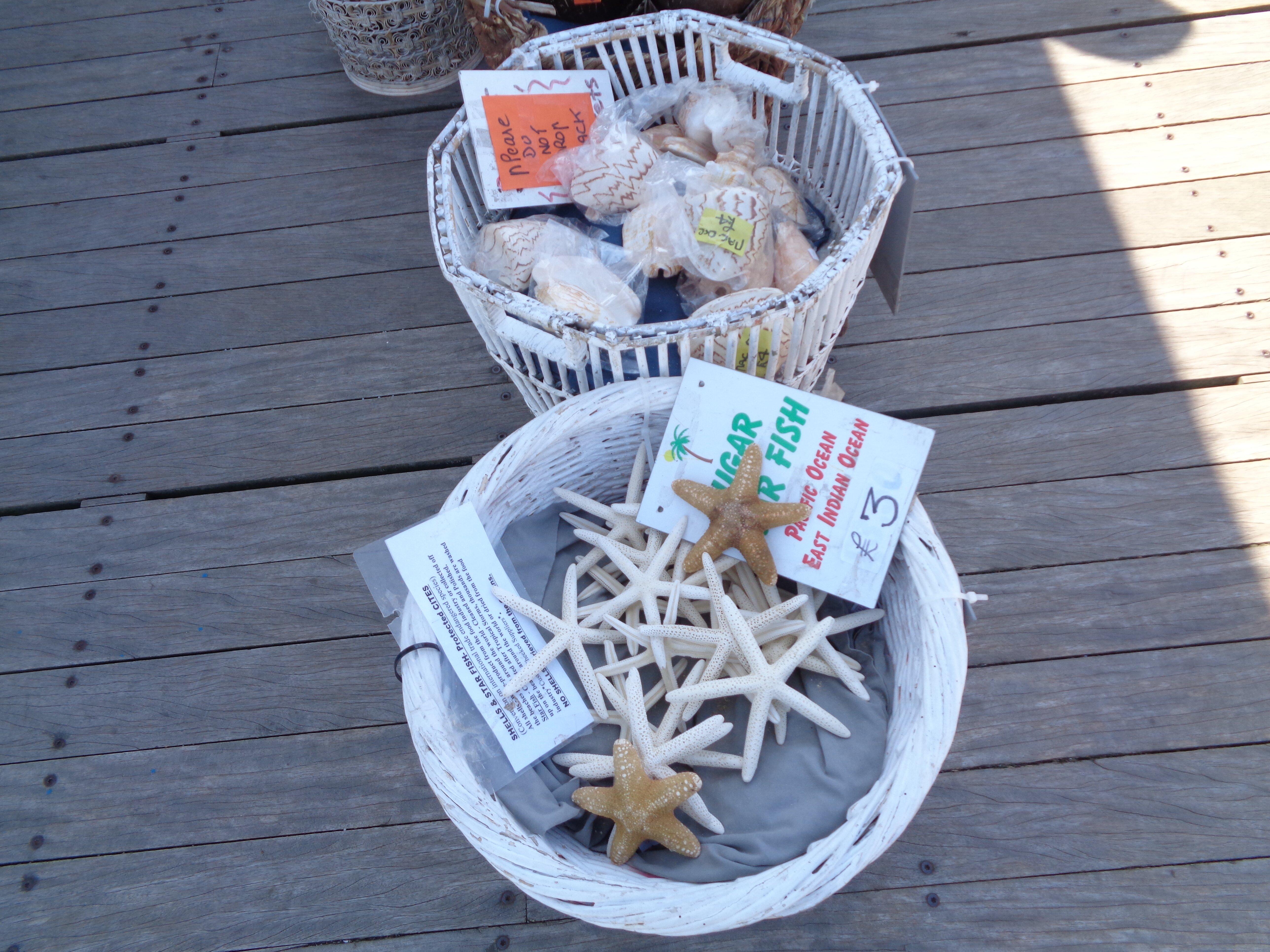 Llandudno Shell Shop