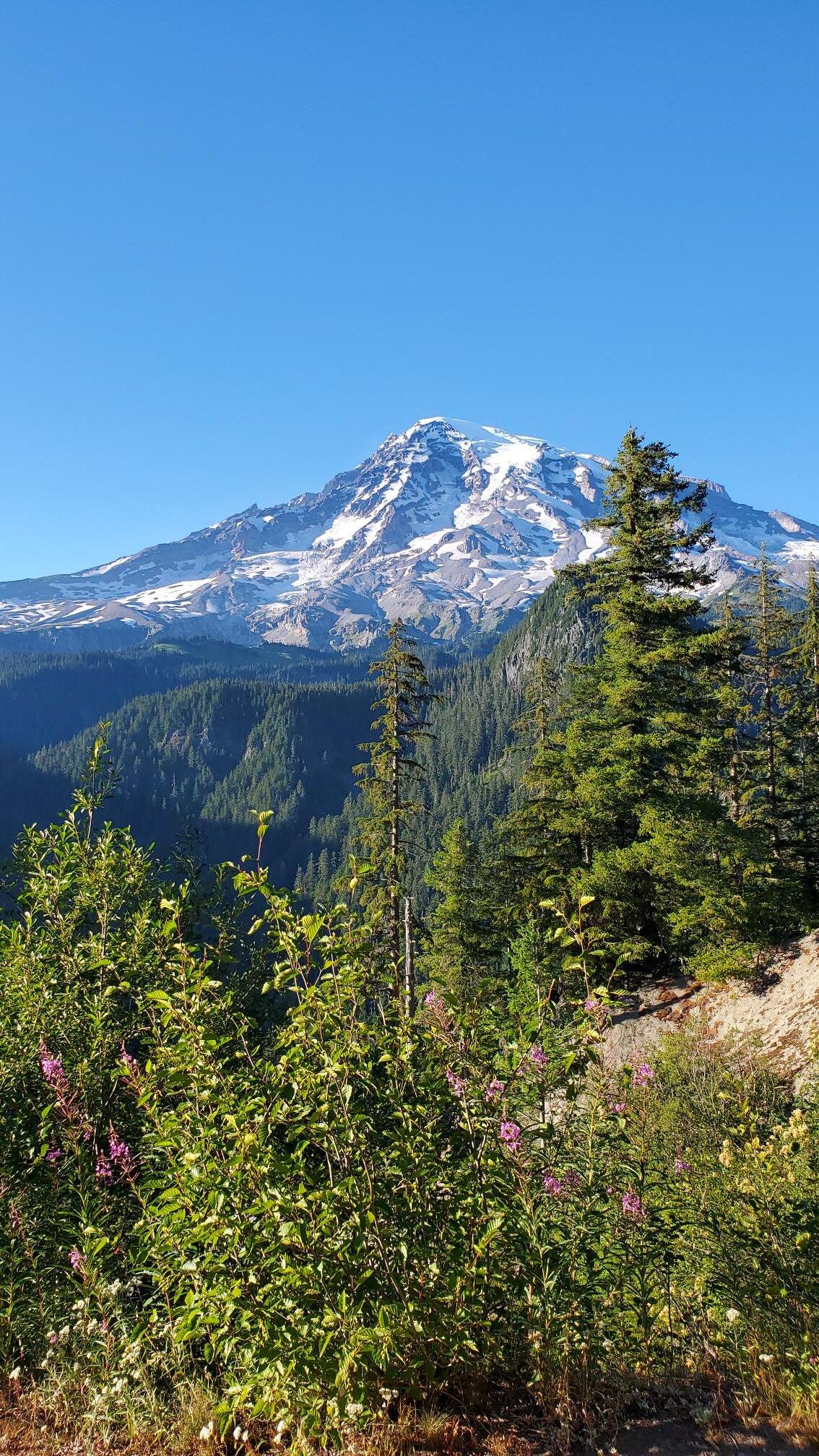 Photo by robertomano