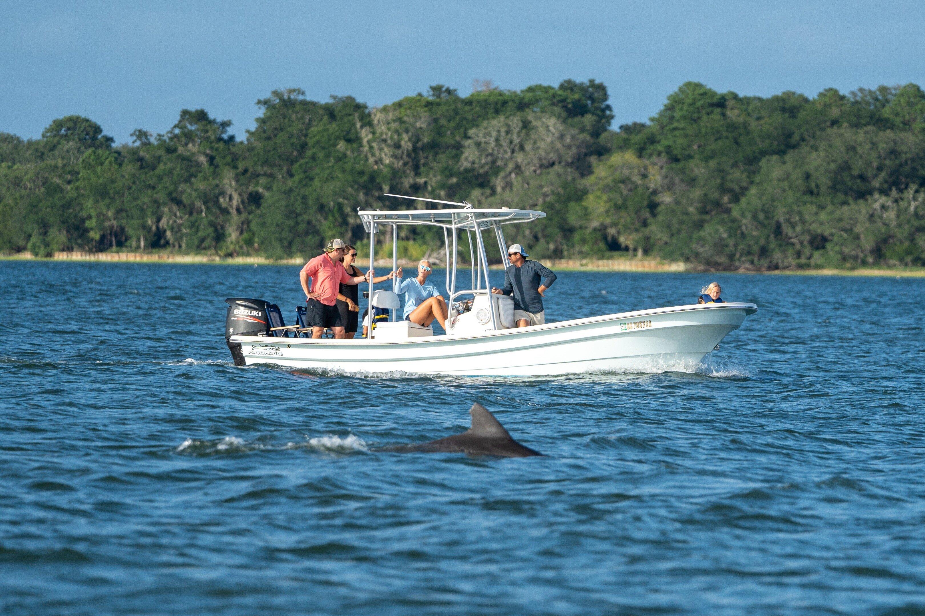 Beaufort Dolphin Adventures